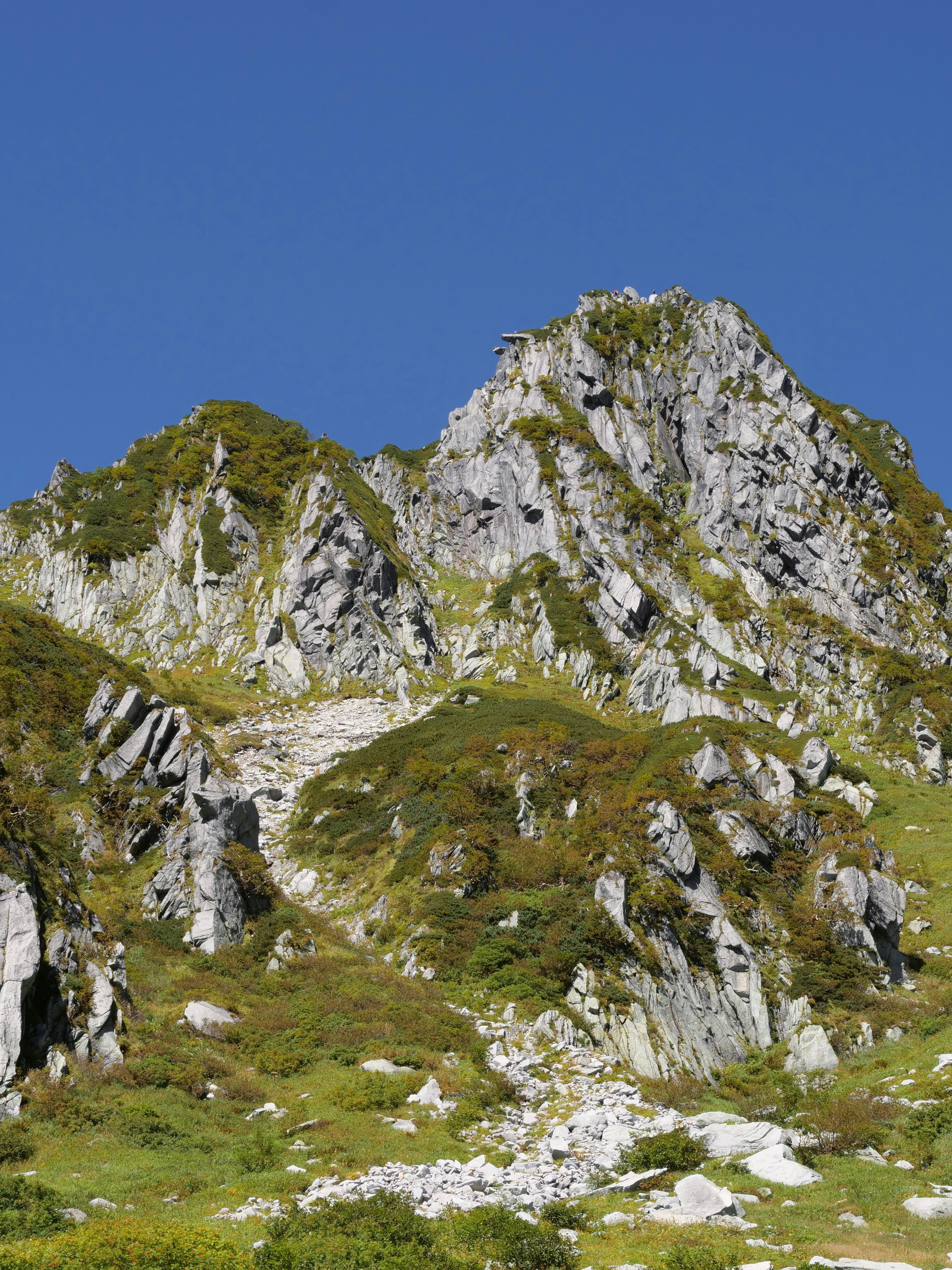 Photo by greendinosaur_com