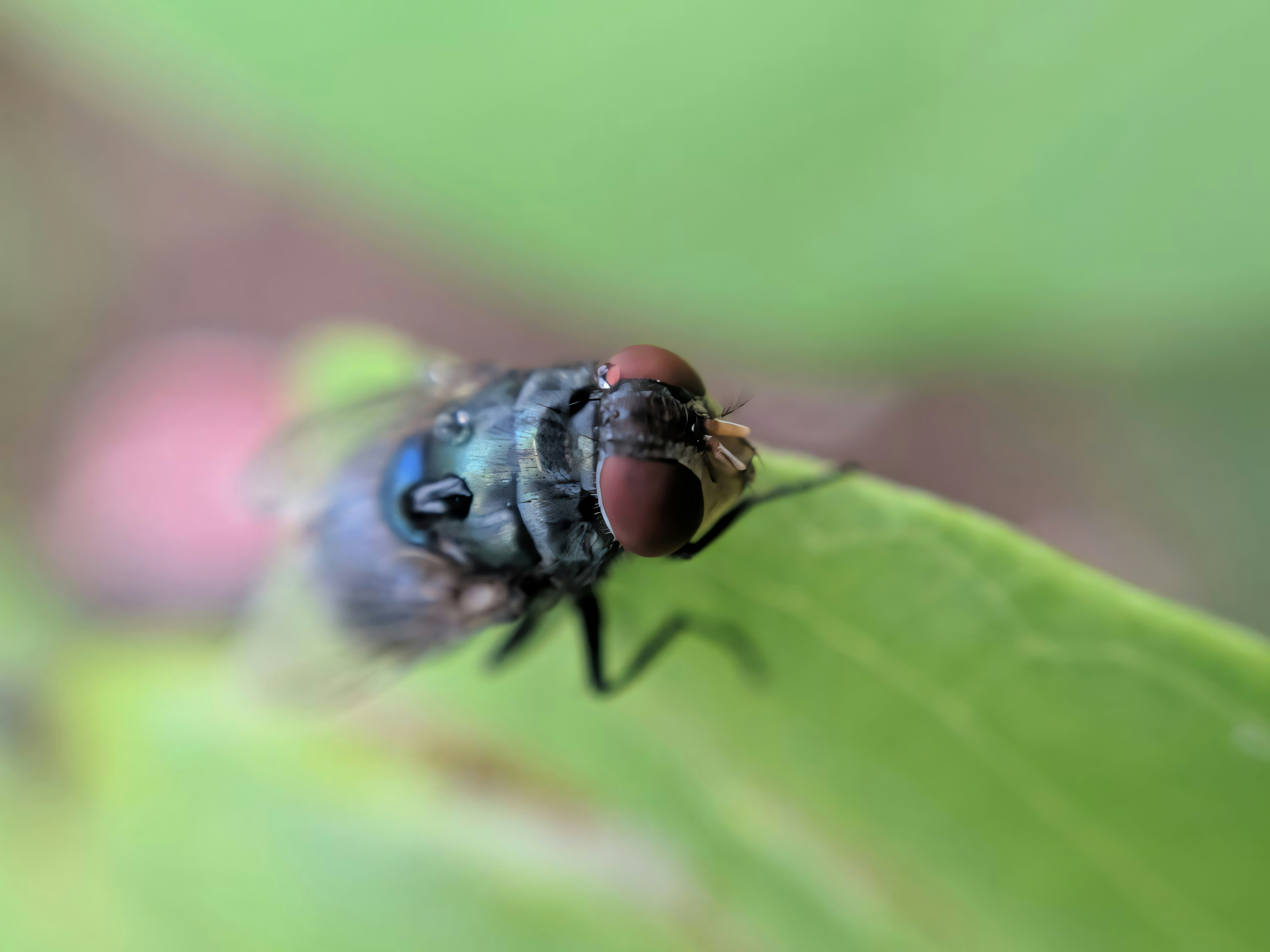 Photo by gopinath12