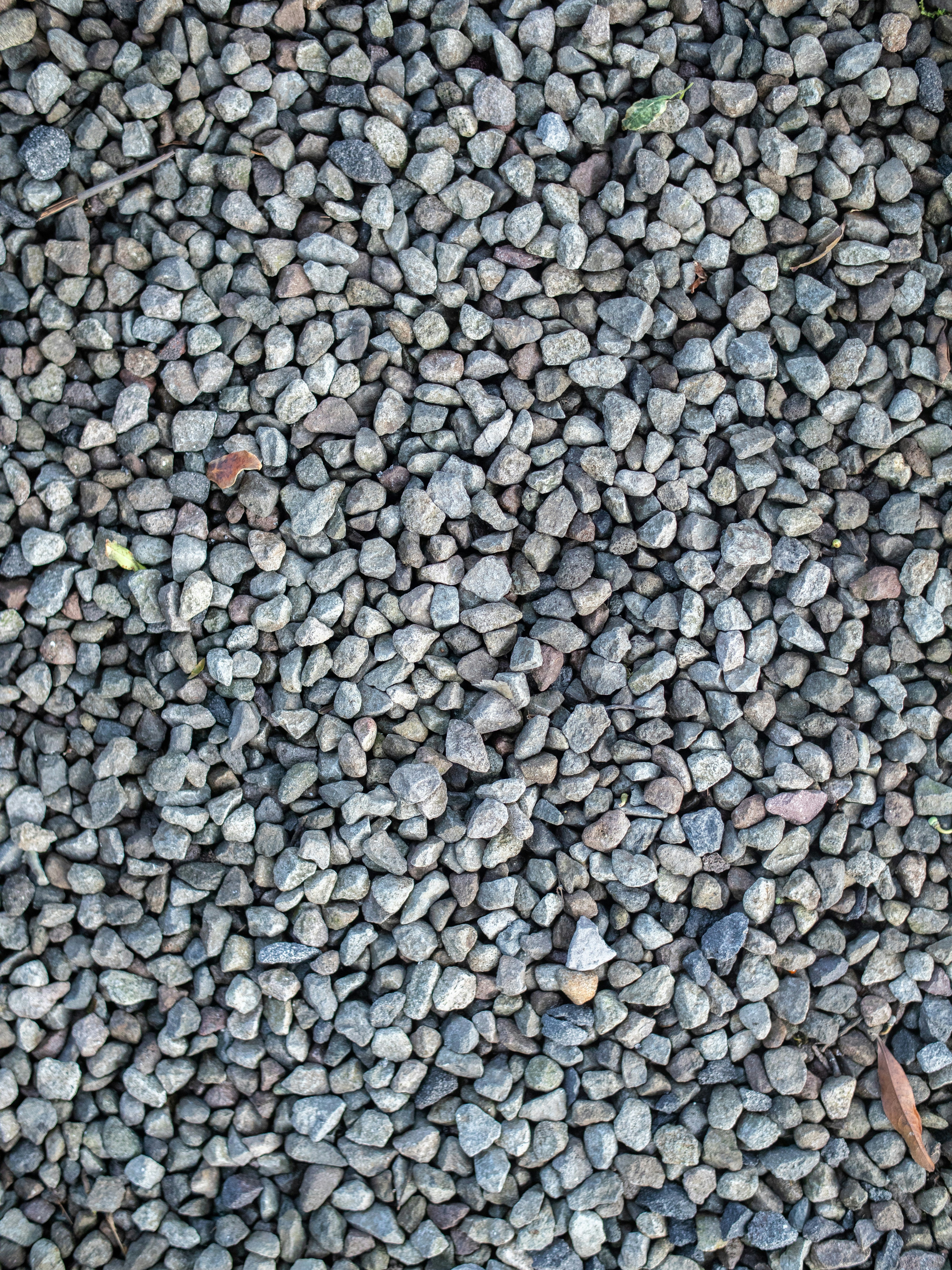 Photo by fabiobiirahmananta