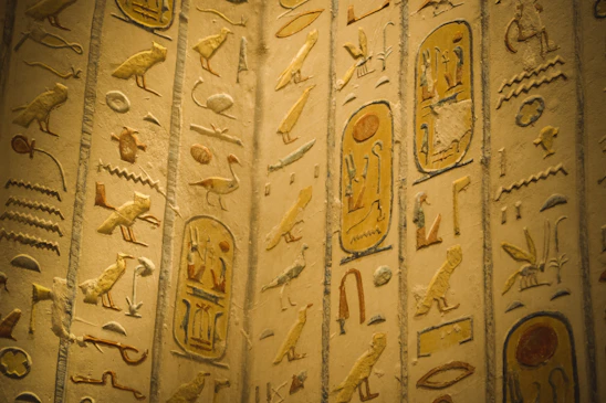 A close up of a wall with egyptian writing on it