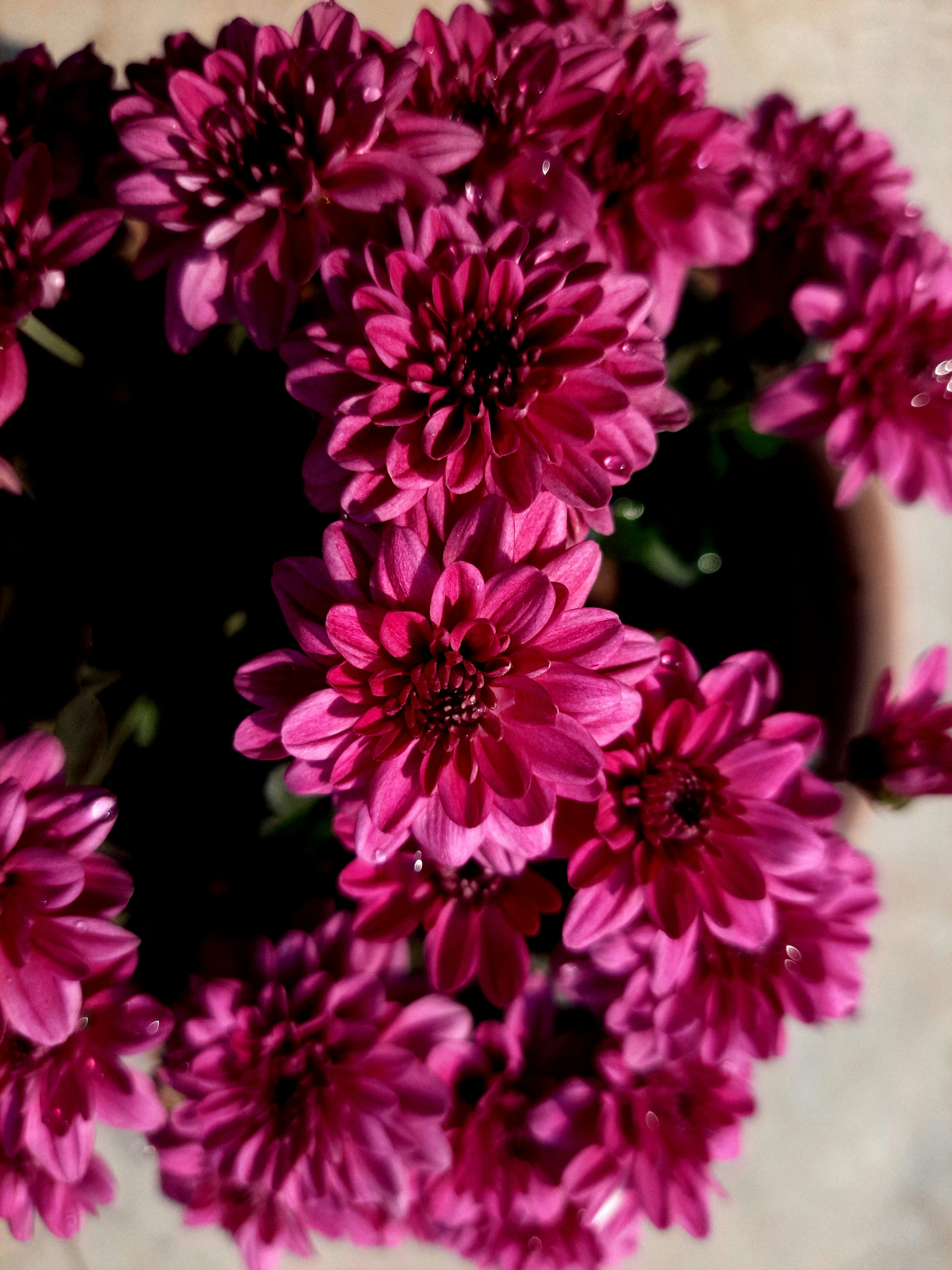 Photo by shutters_flutter