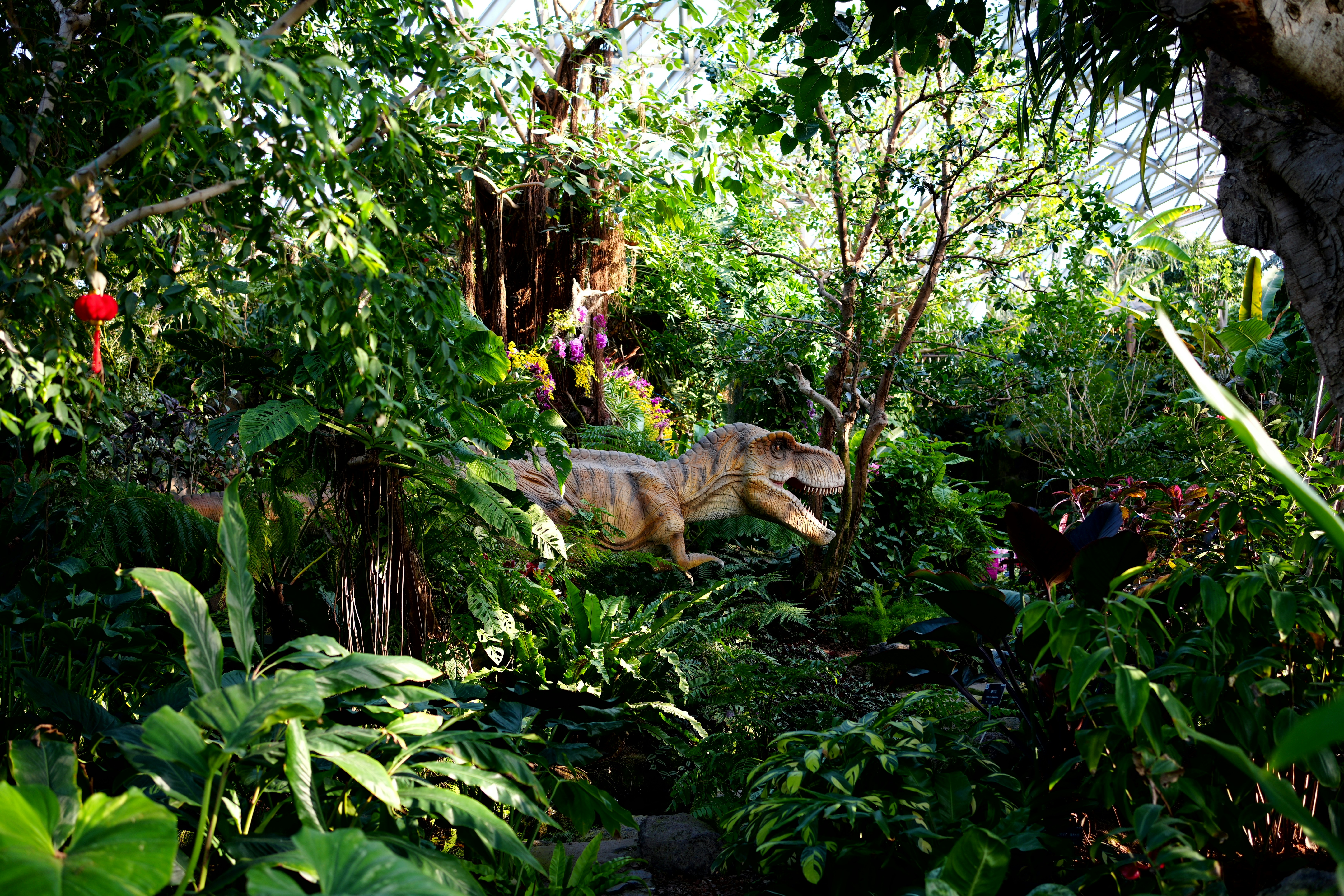 Shanghai Chenshan Botanical Garden