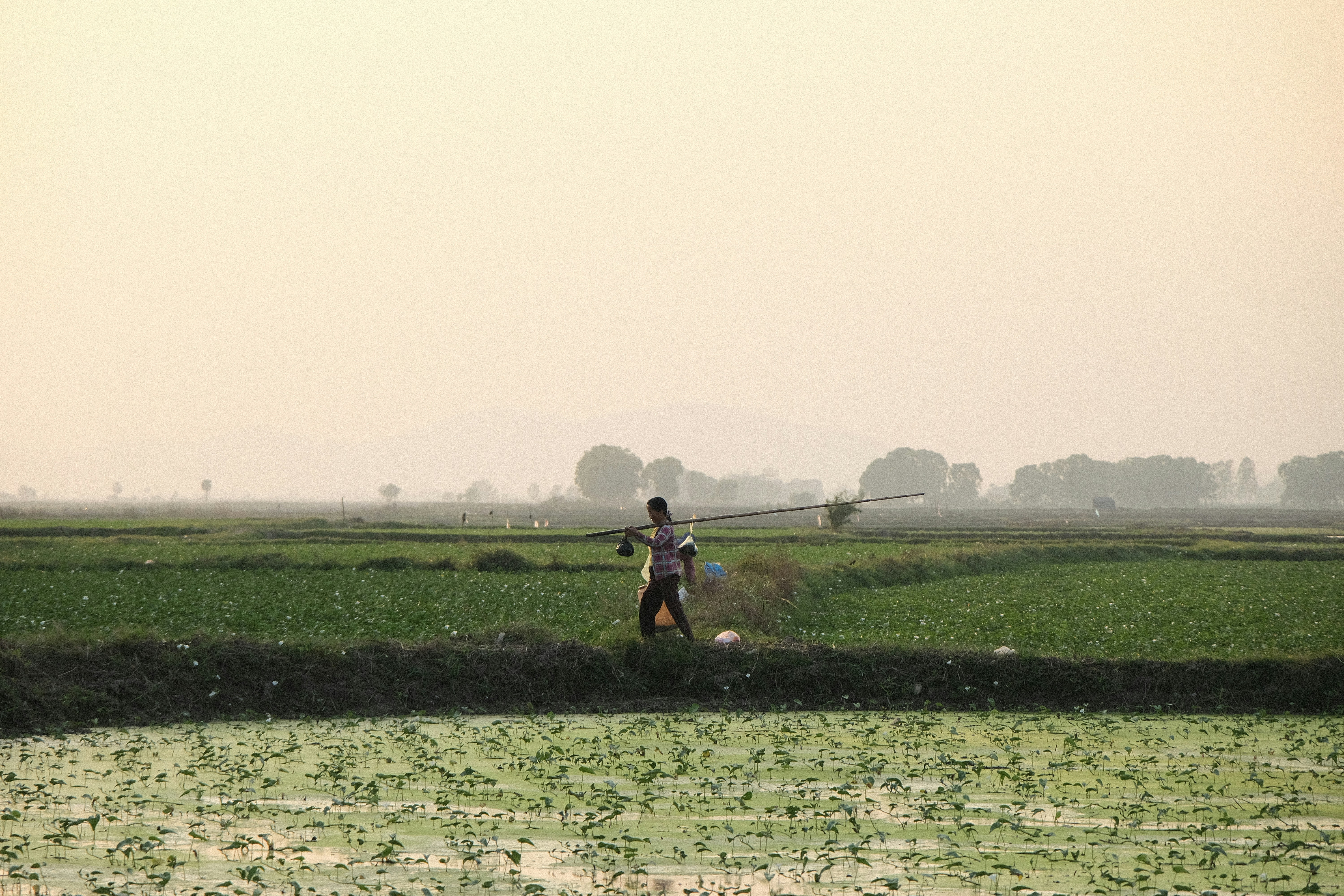 A man walking across a lush green field