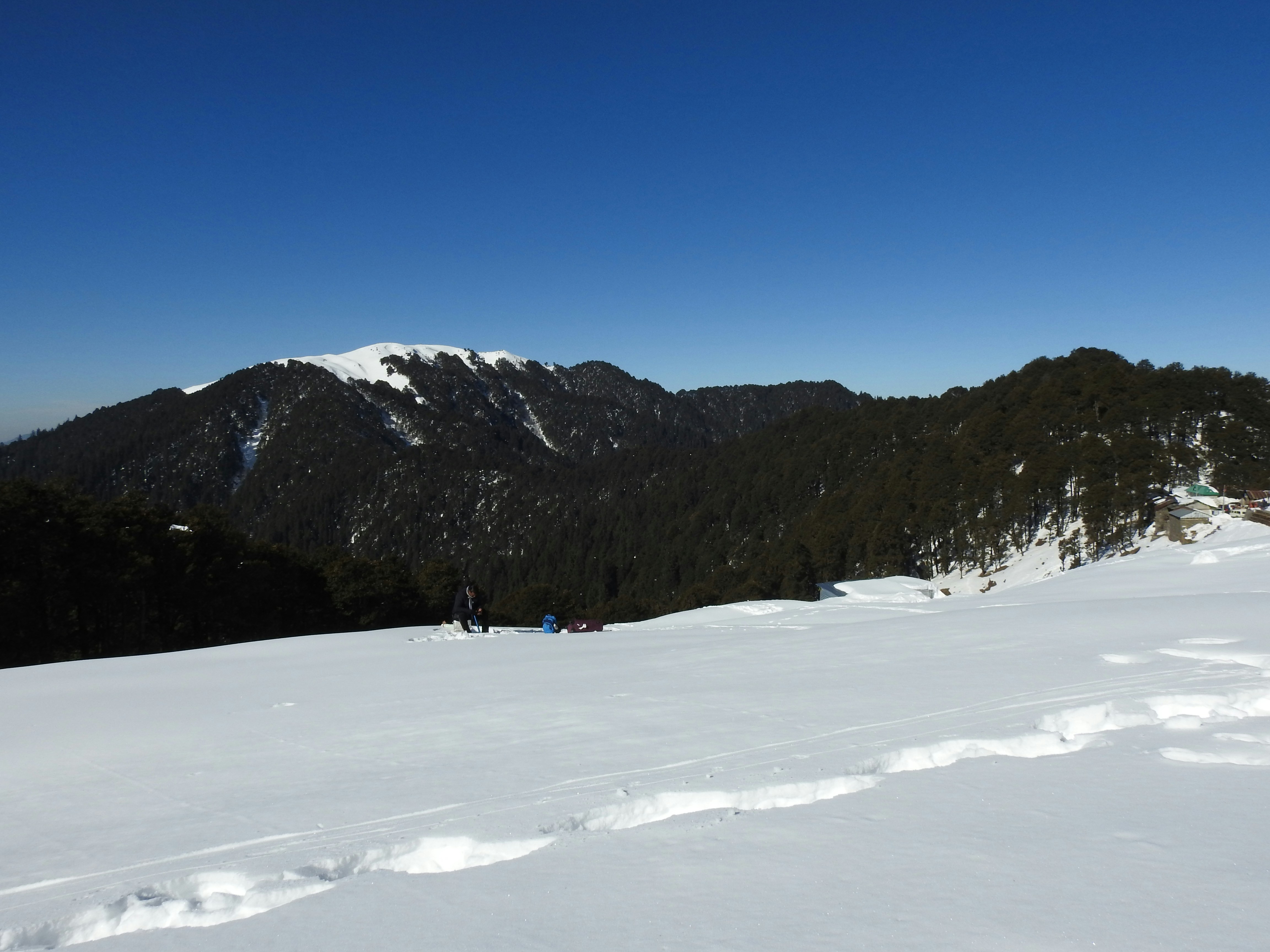 Photo by aditipanatu95