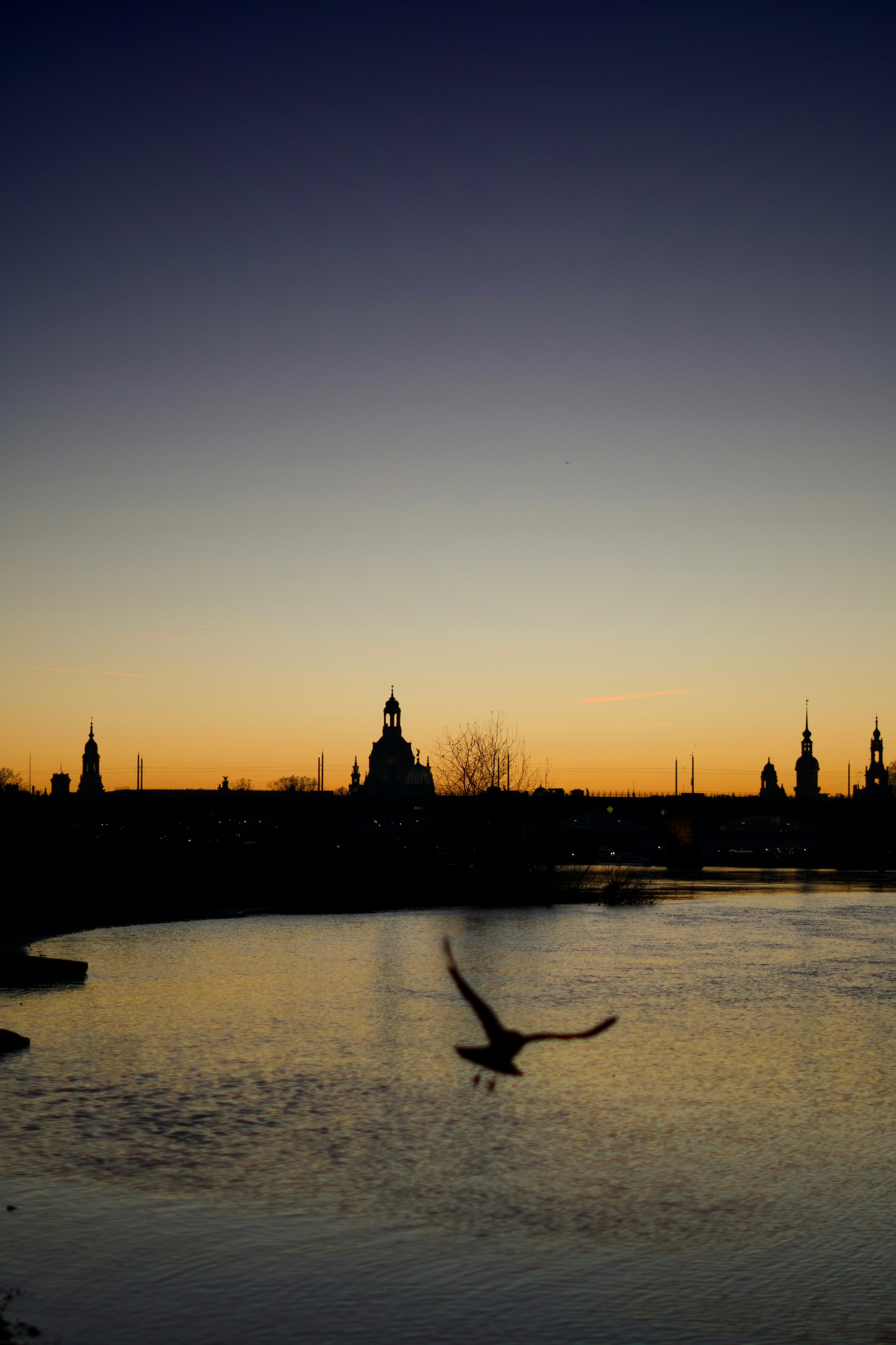 Photo by theodor_jacob