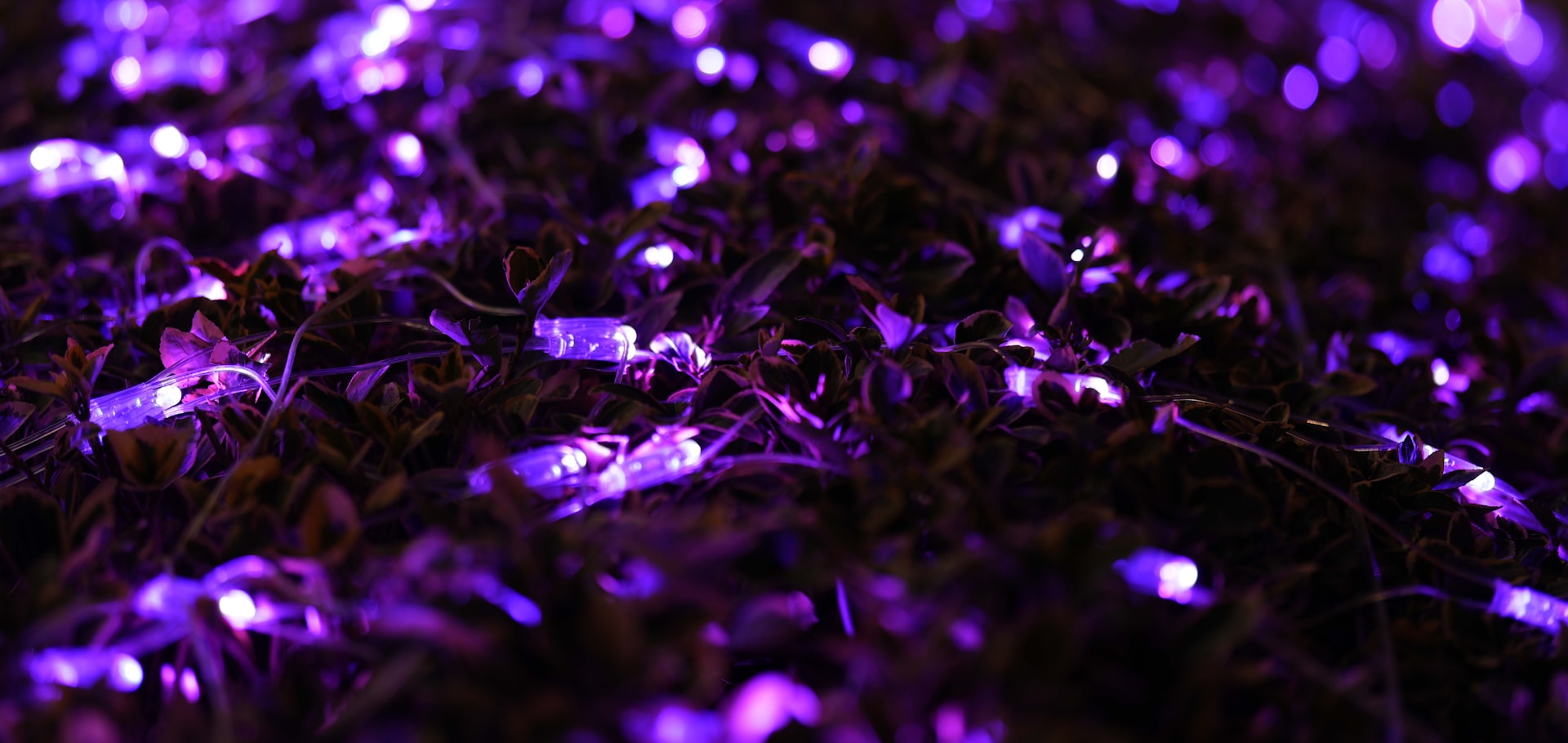 A close up of a purple glitter background