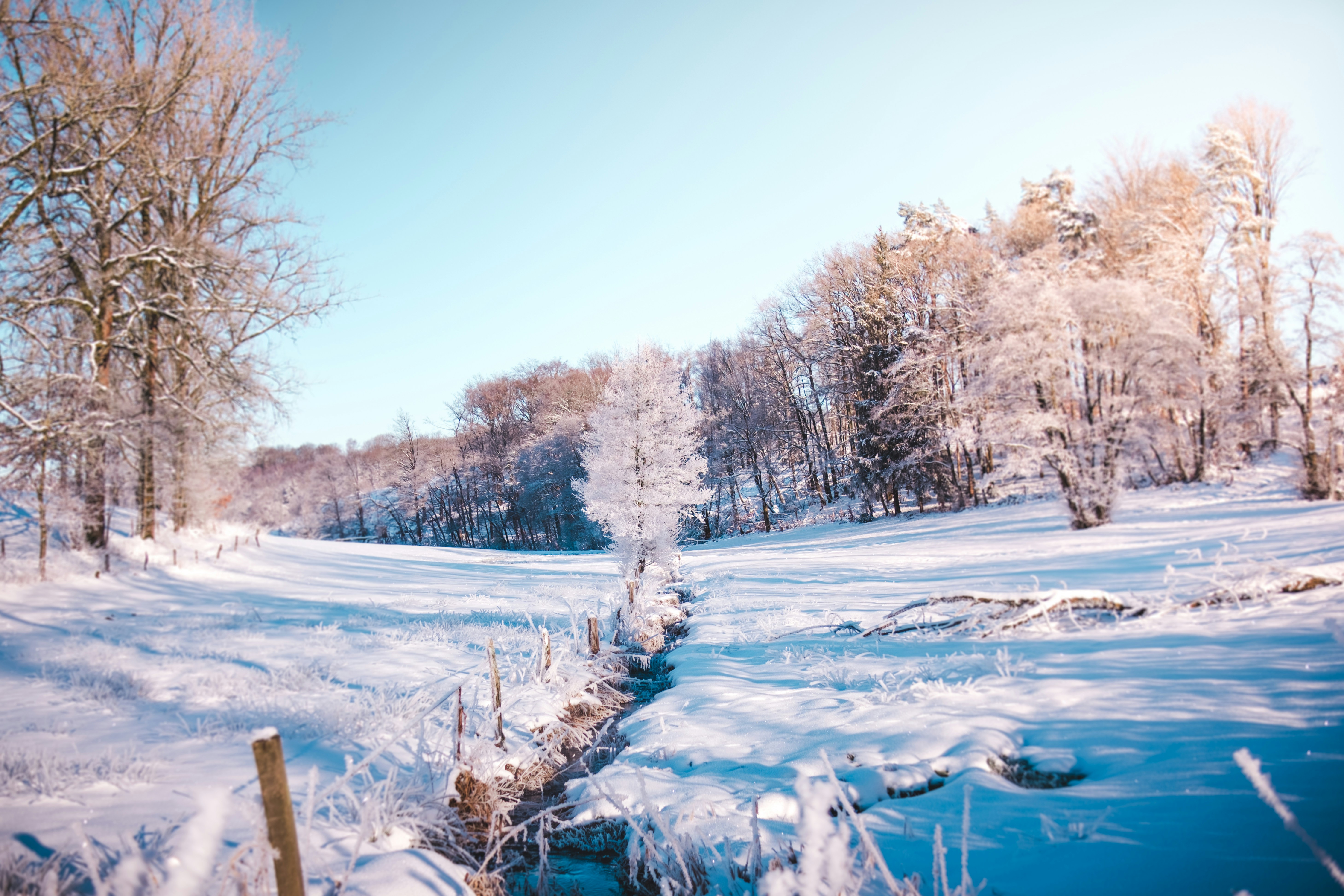 Photo by collectedmomentsbydaniel