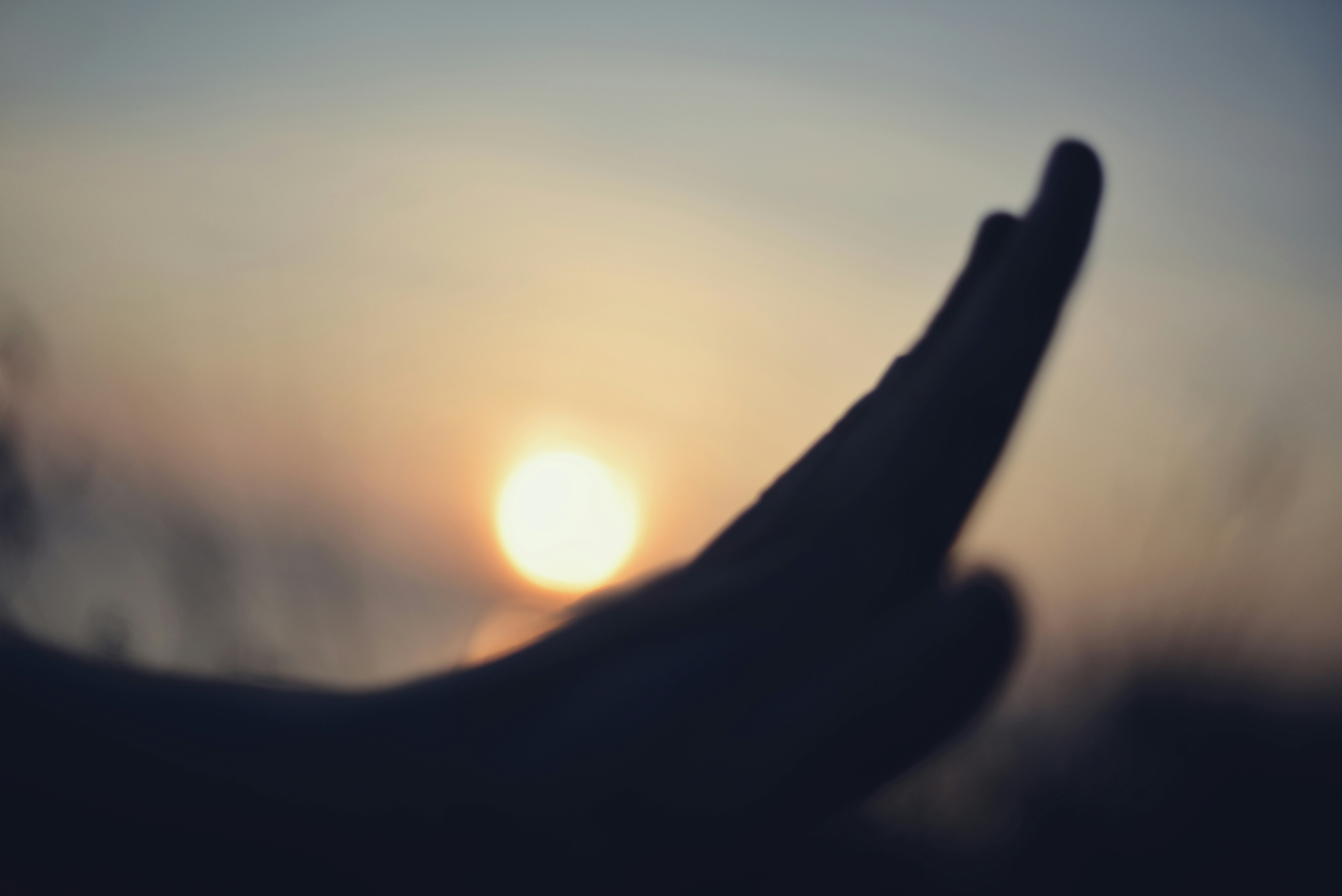 Photo by cherstve_pechivo