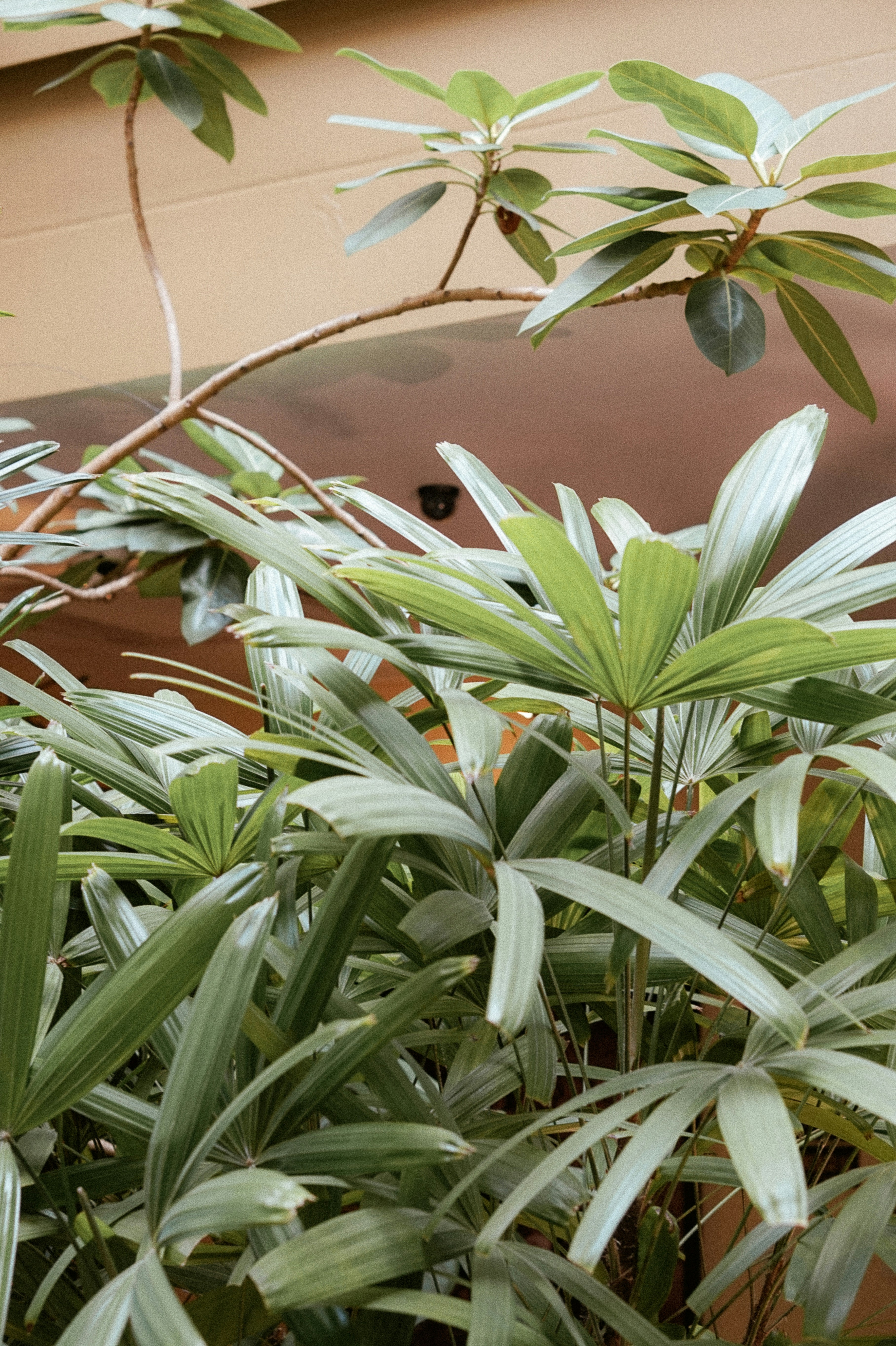 Photo by thingsneverchange