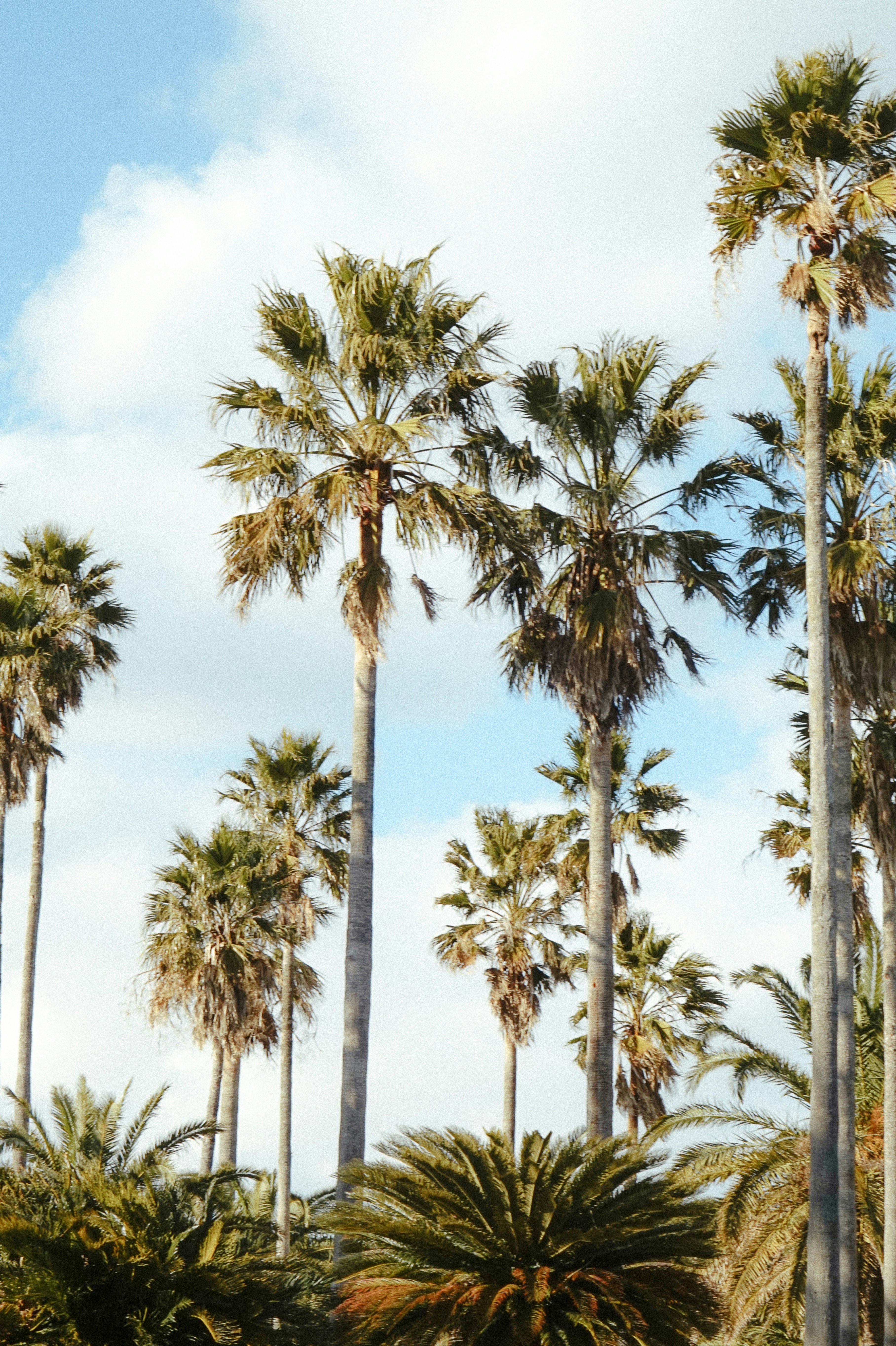 Photo by thingsneverchange