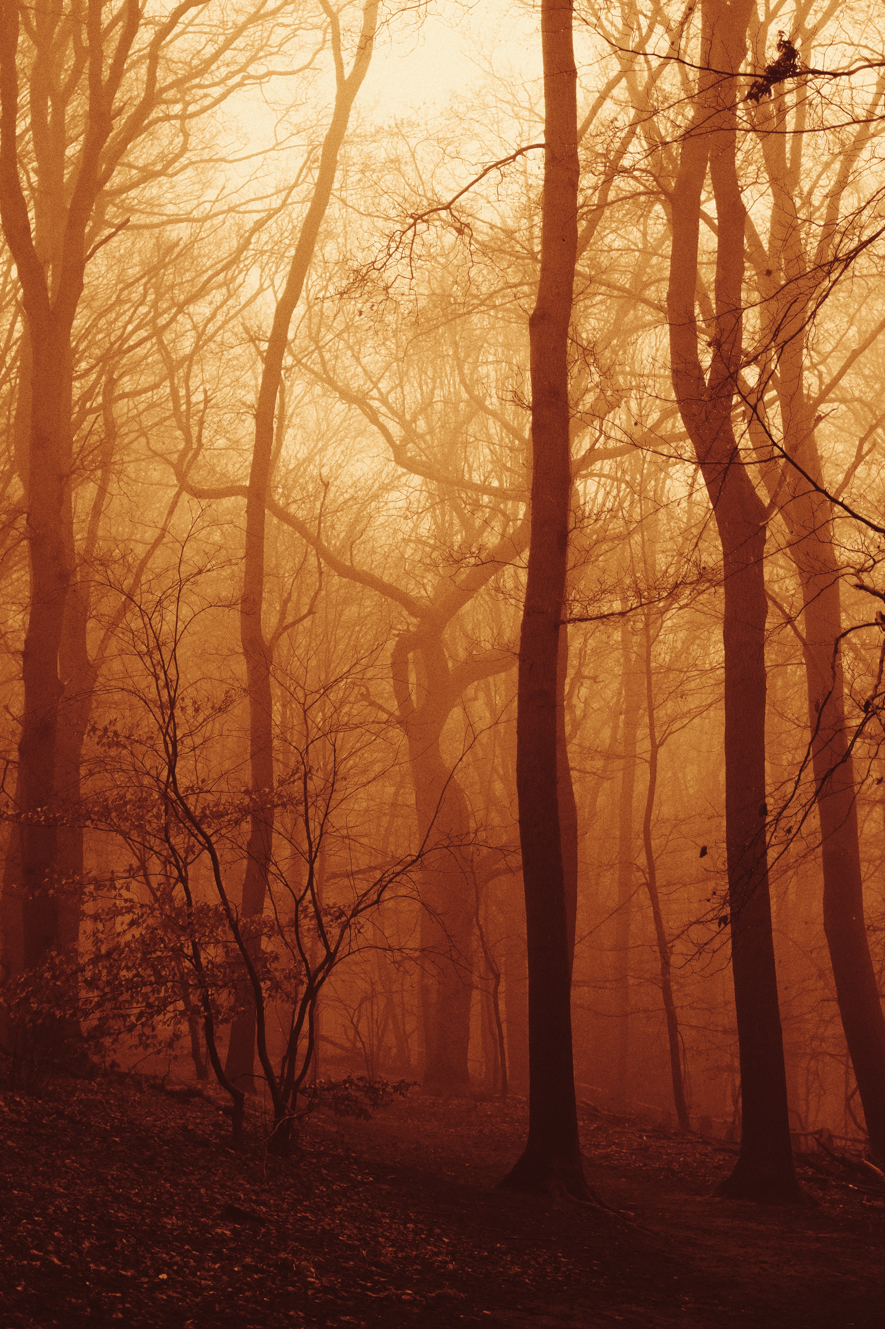 Photo by visualsbying