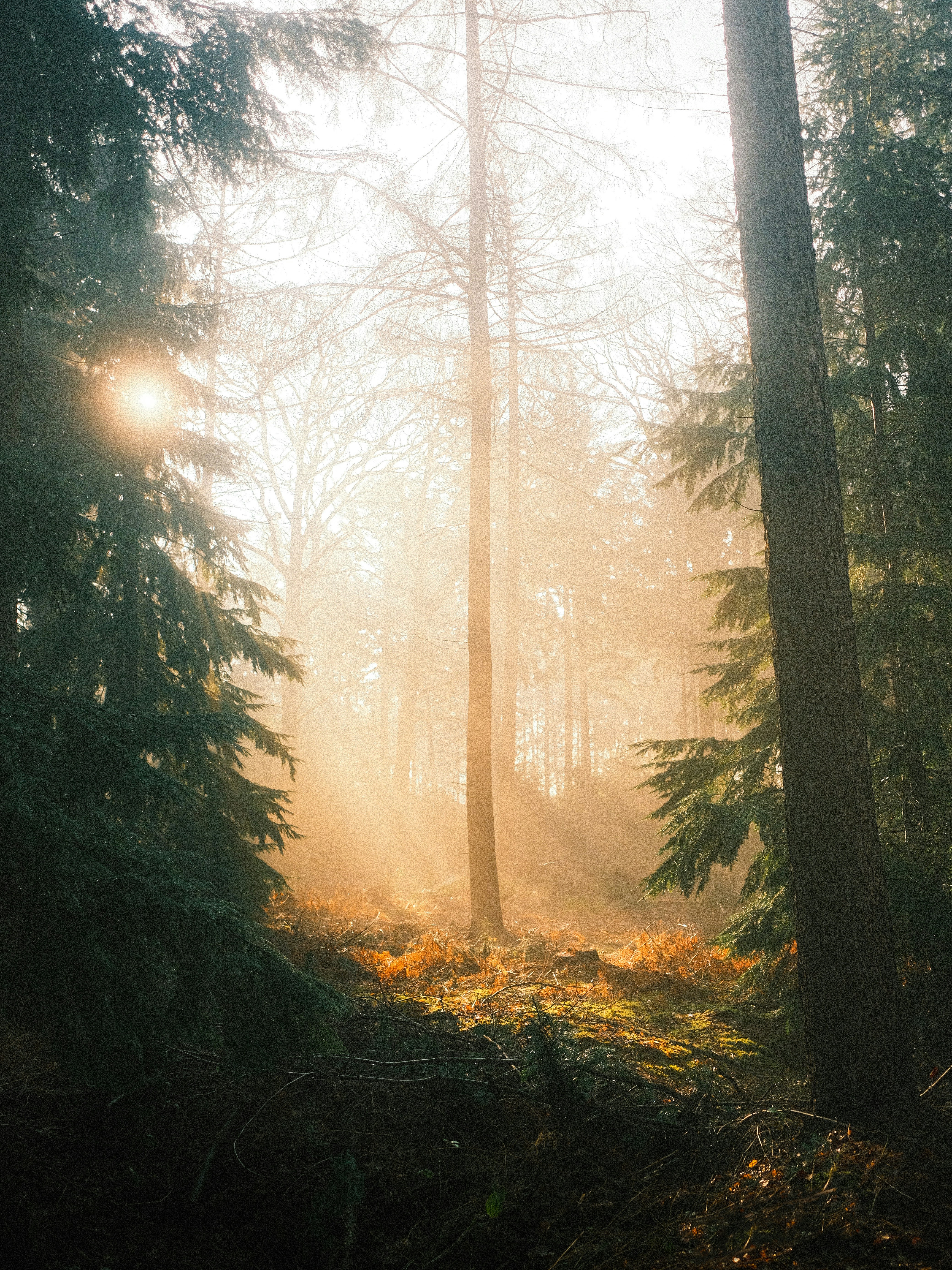 Photo by visualsbying