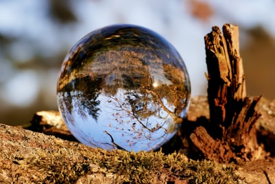 A glass ball sitting on top of a tree stump