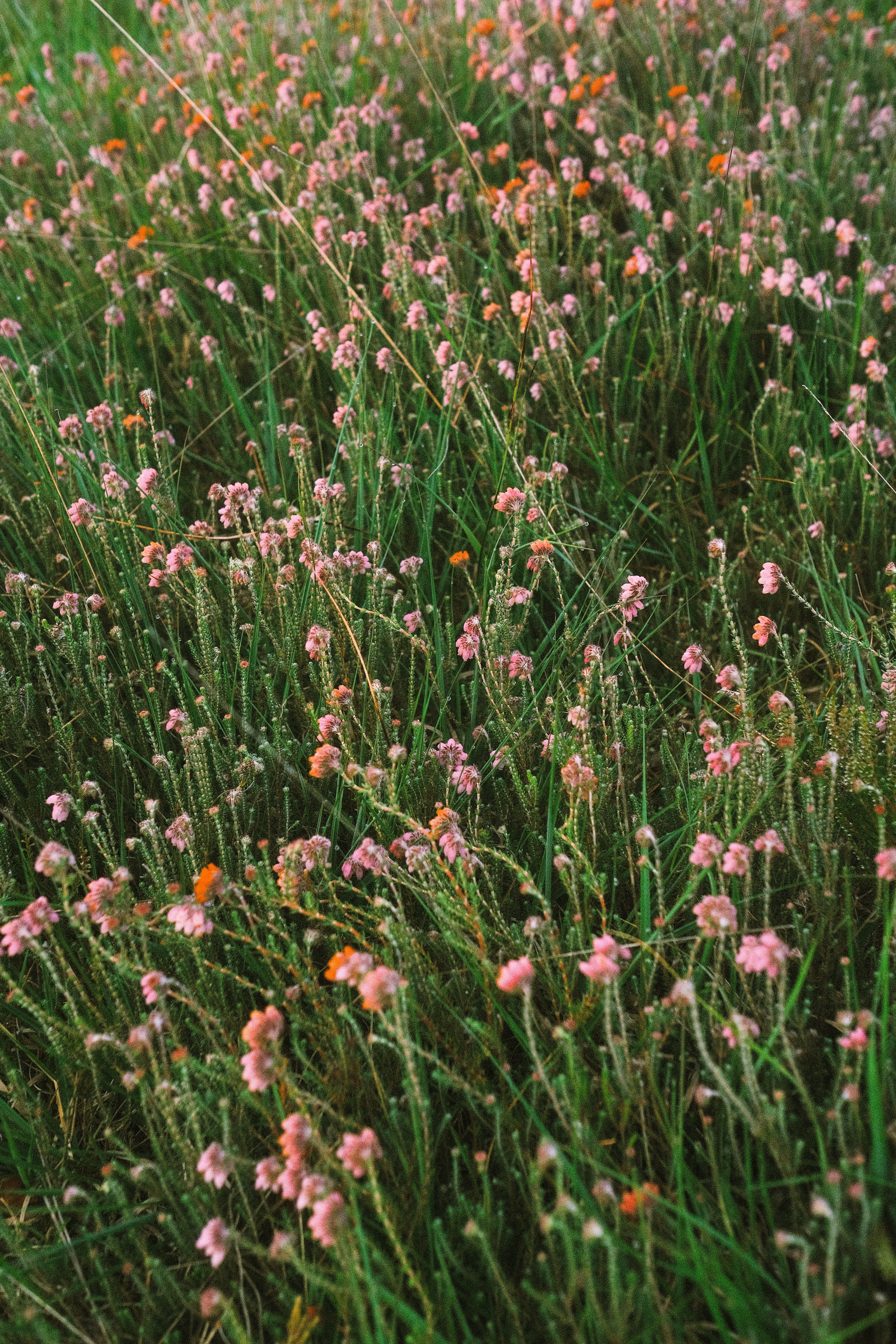 Photo by visualsbying