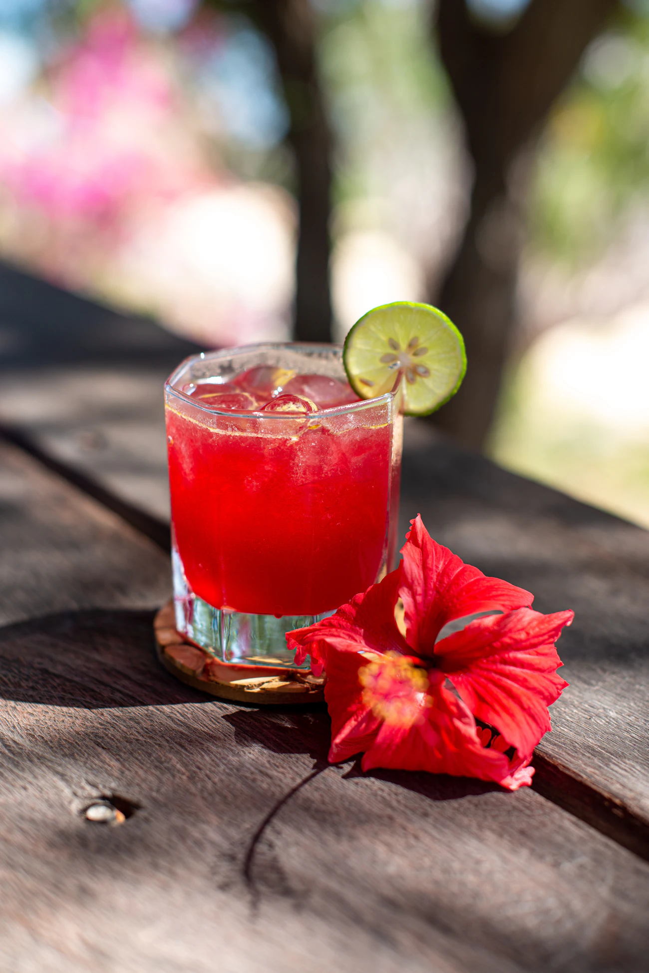 A glass of ruby-red iced hibiscus tea with a lime wheel, beside a fresh red hibiscus bloom on a weathered wooden table