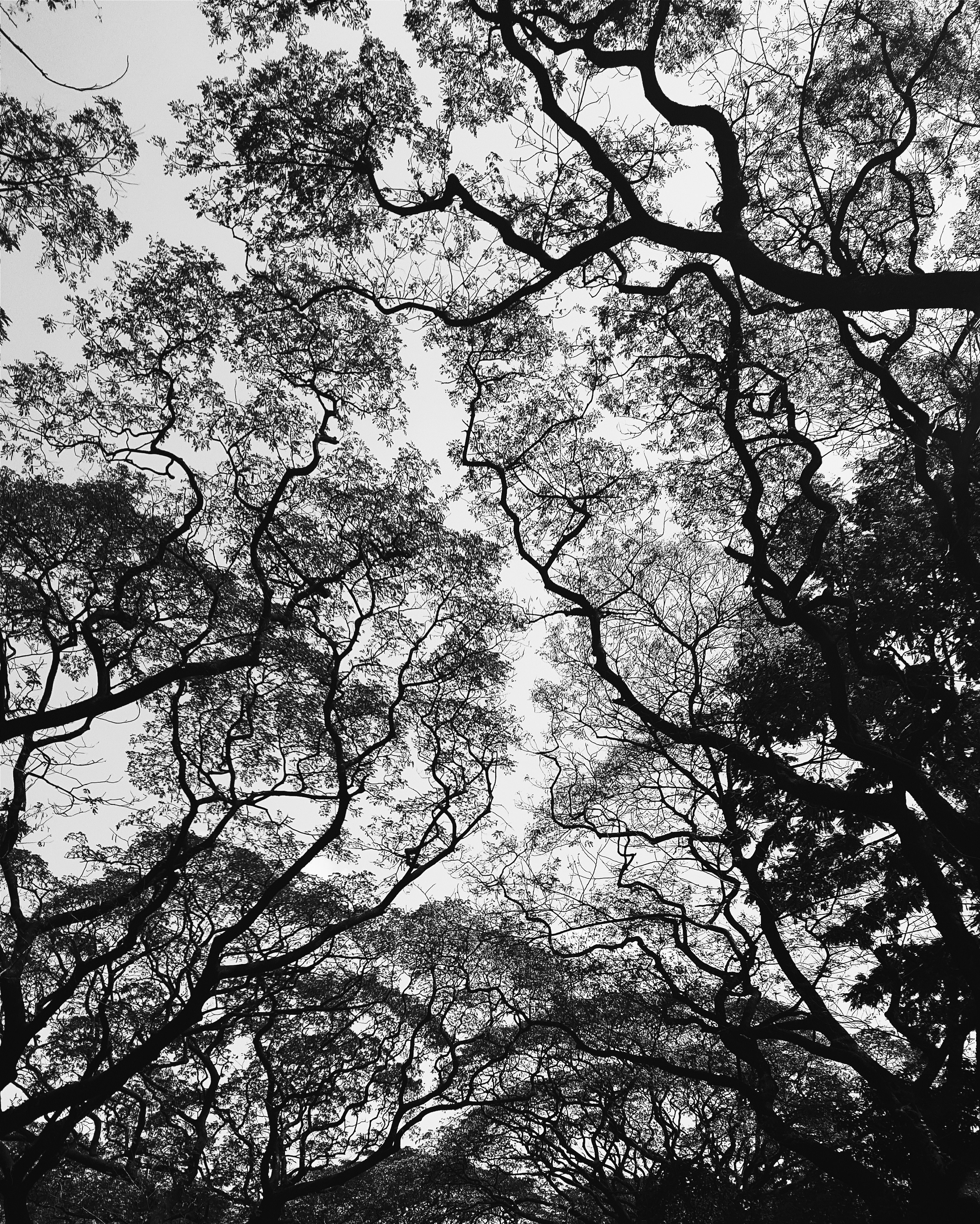 Photo by sweetvalientedesigns