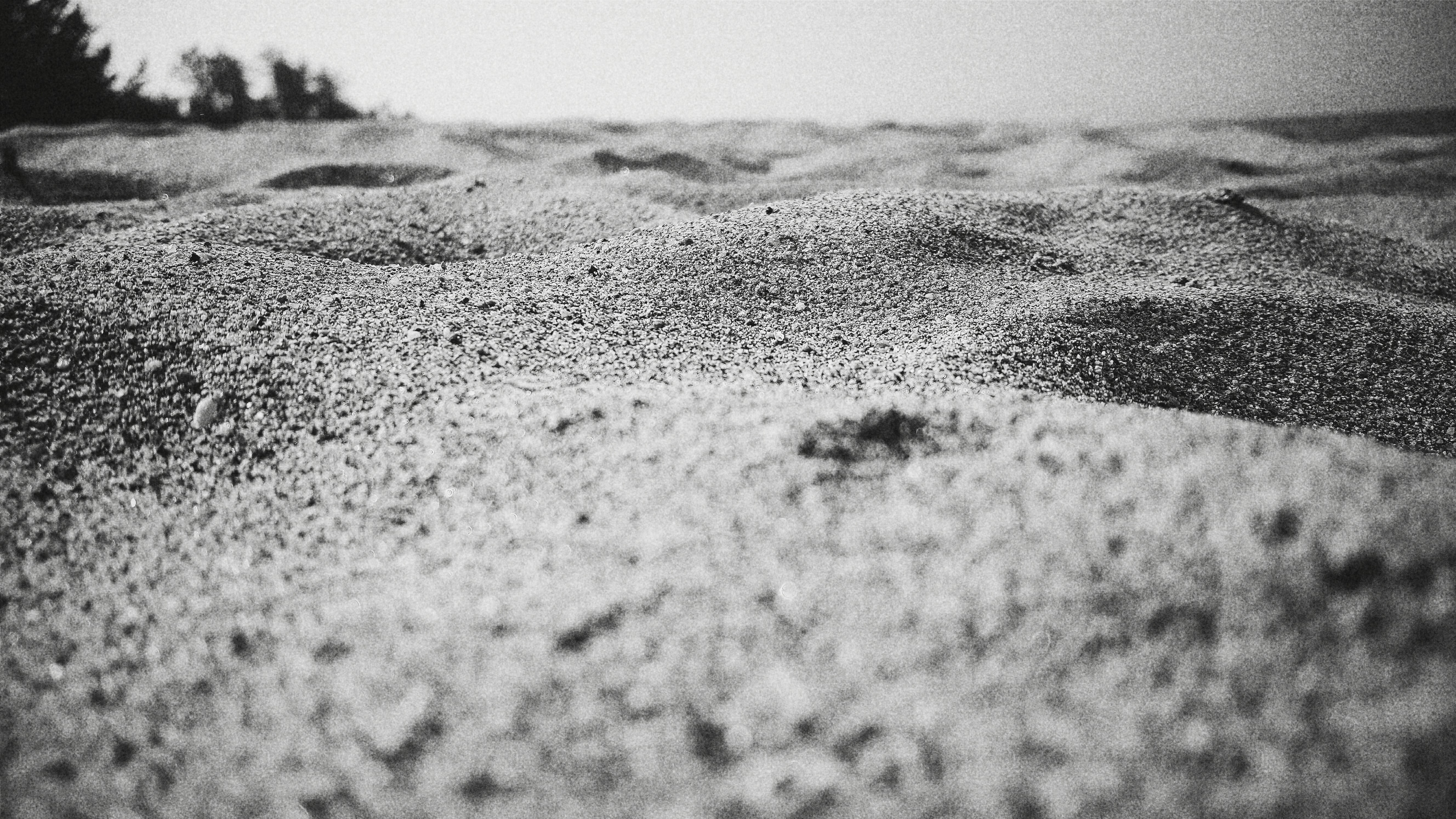 Photo by sweetvalientedesigns