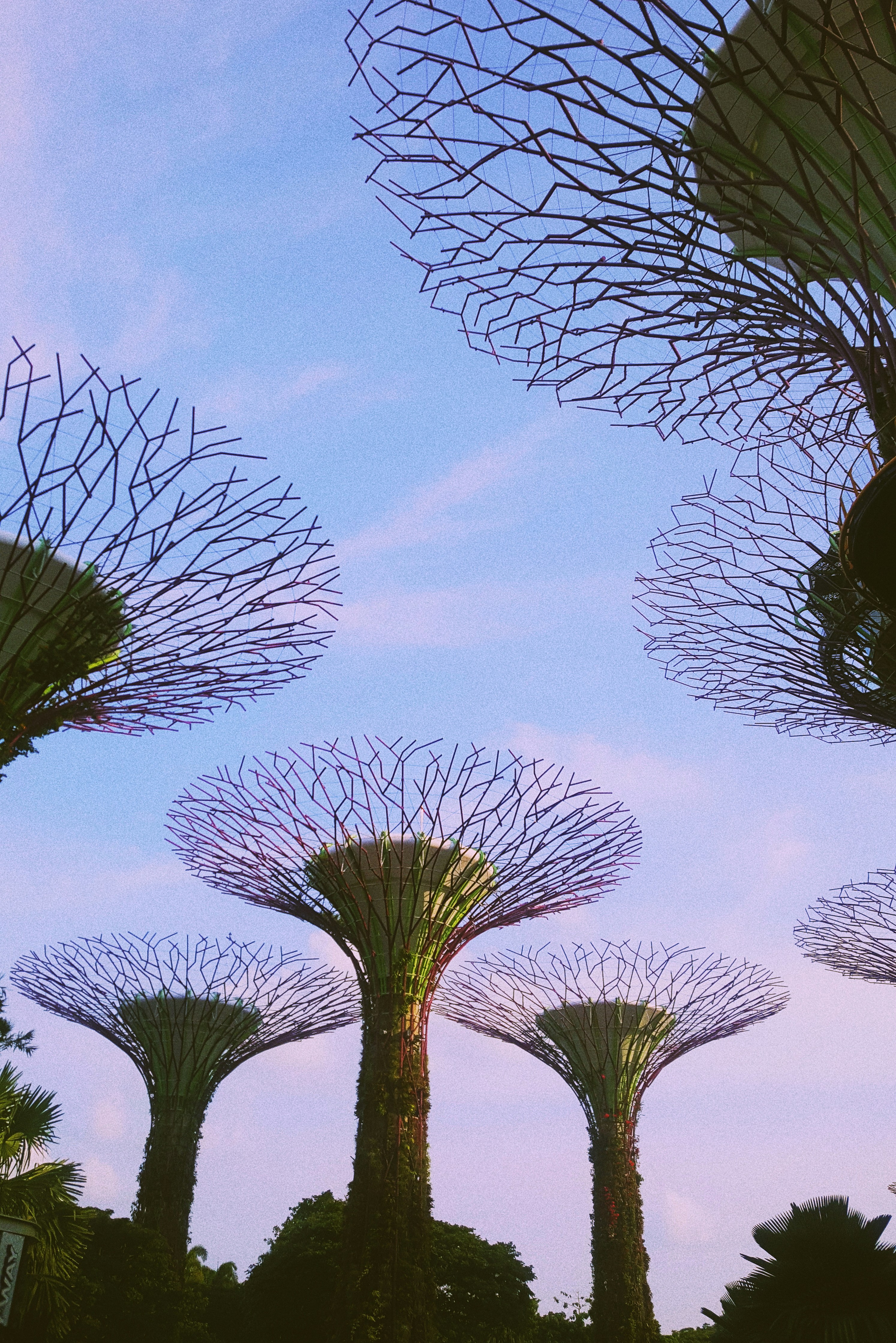 Photo by sweetvalientedesigns