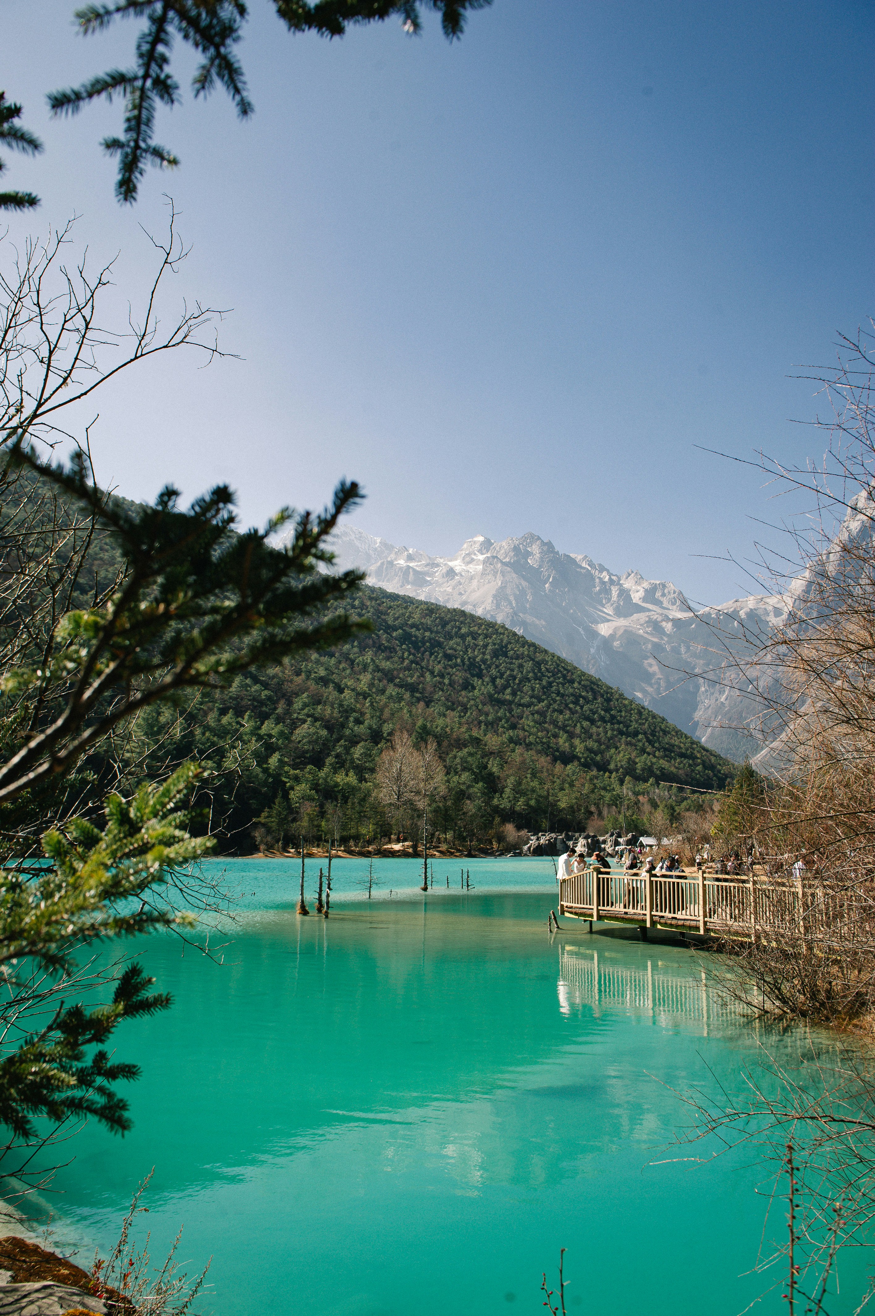 A body of water surrounded by trees and mountains