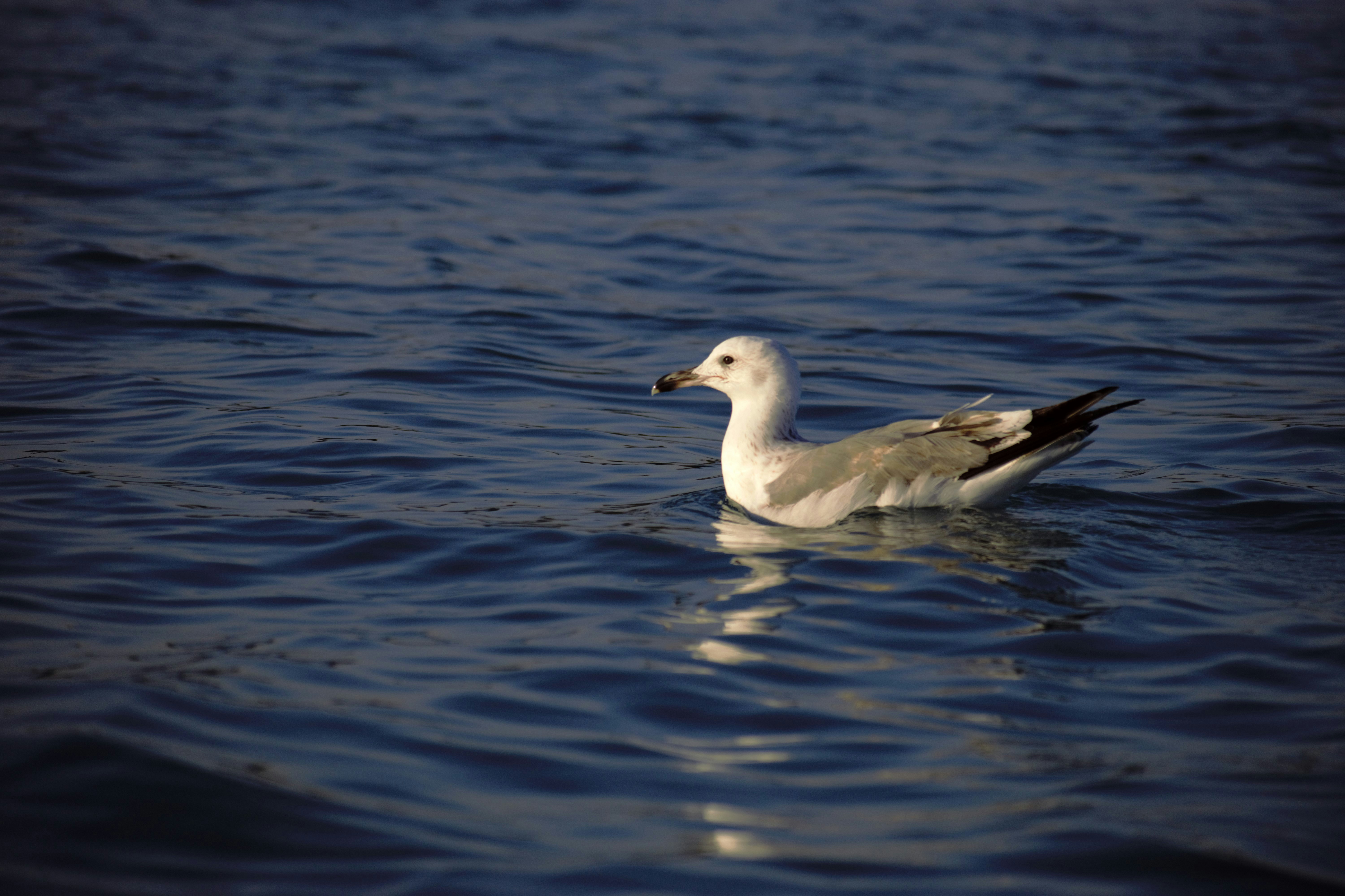 Photo by shirinsaleki