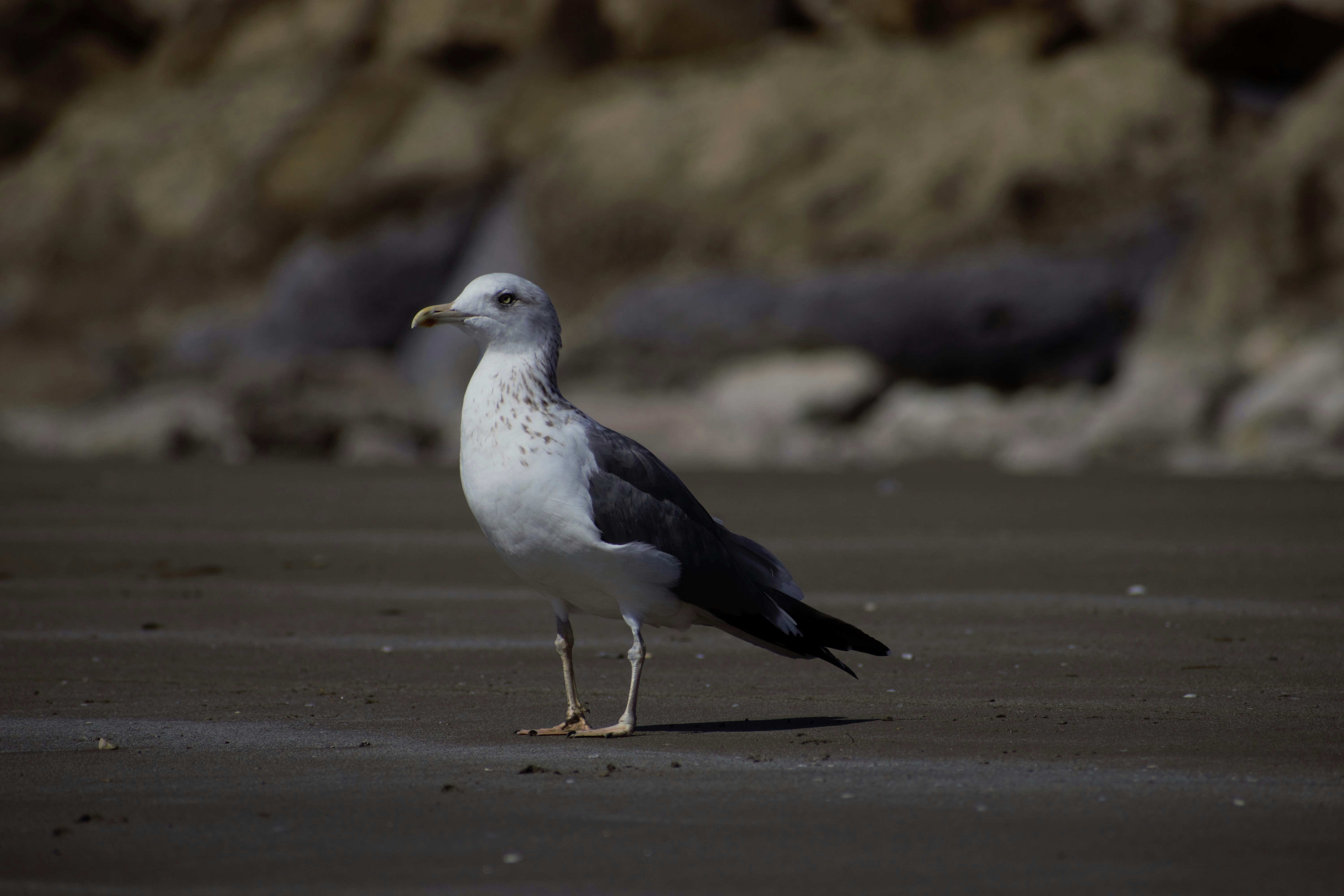 Photo by shirinsaleki