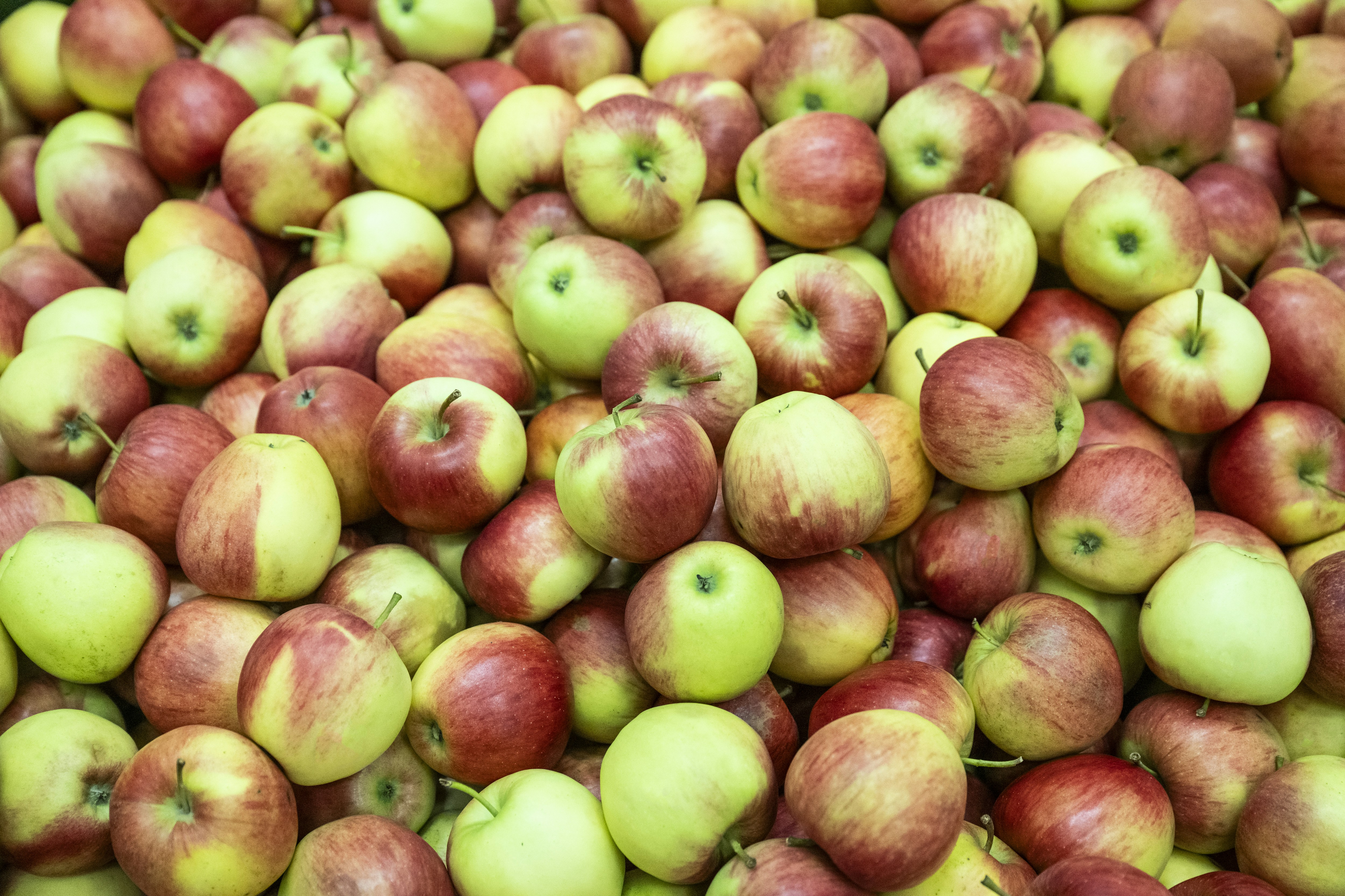 A large pile of red and green apples