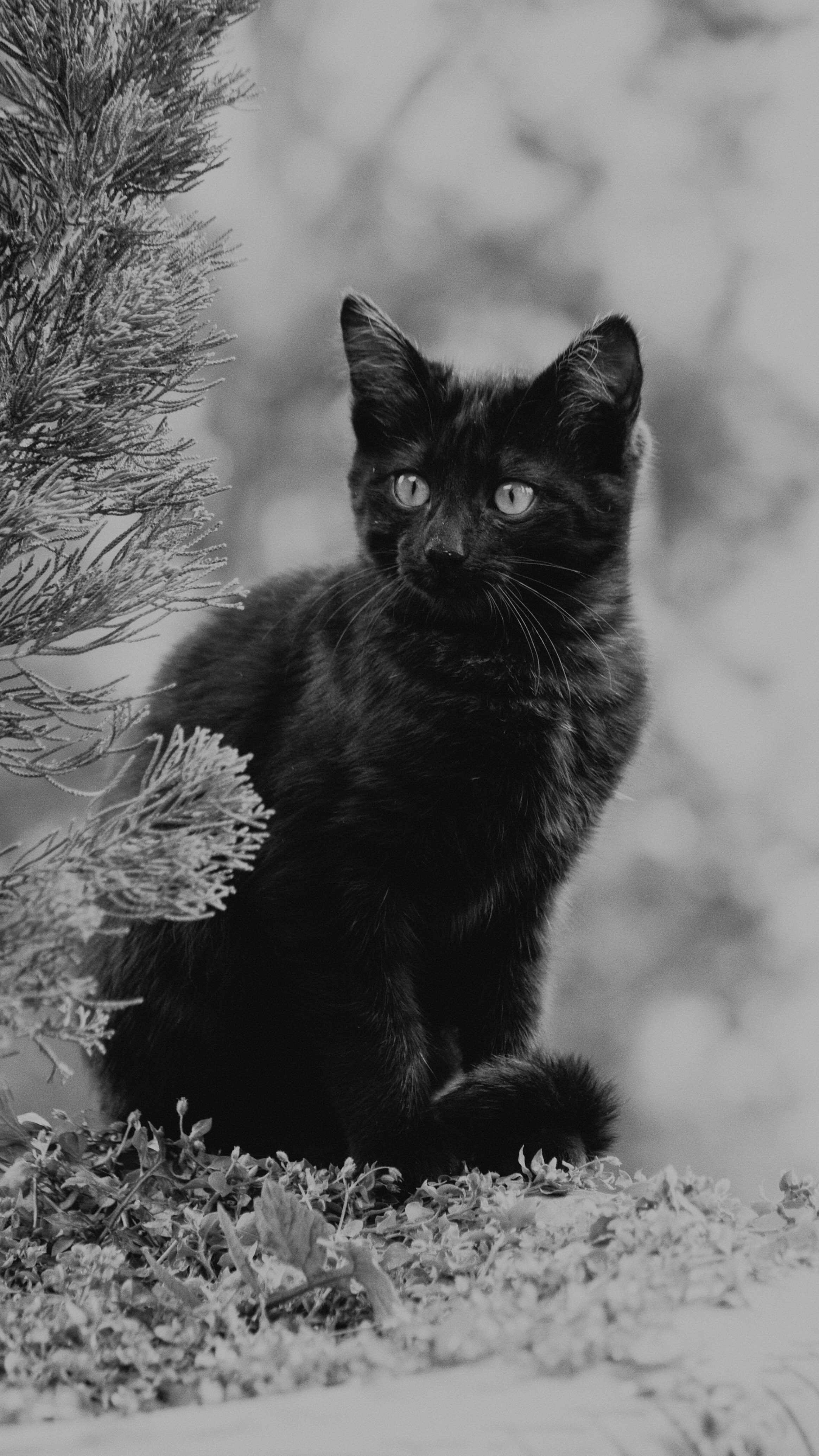 The Importance of Observation (image credits: unsplash)