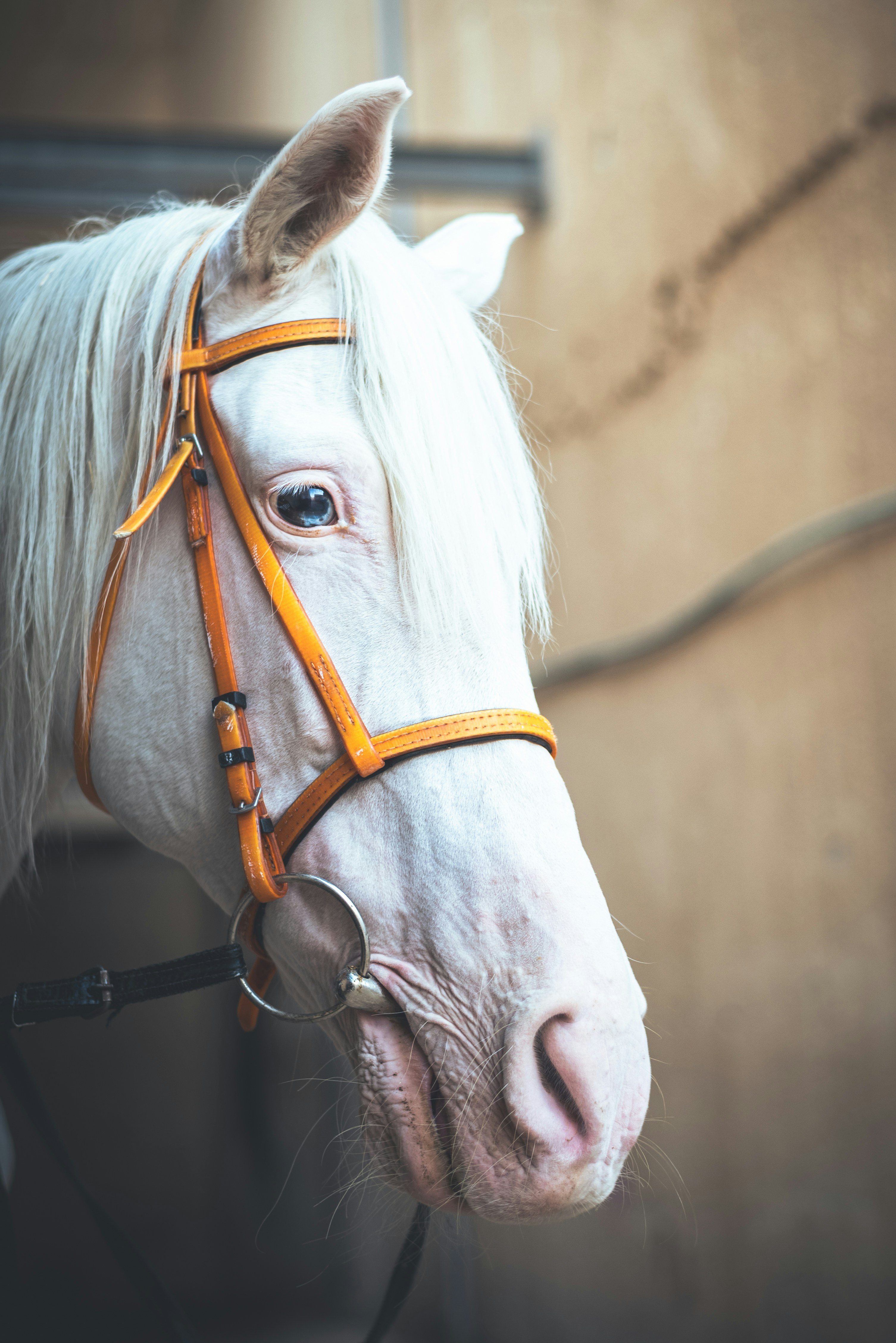 Photo by omar_abozeid