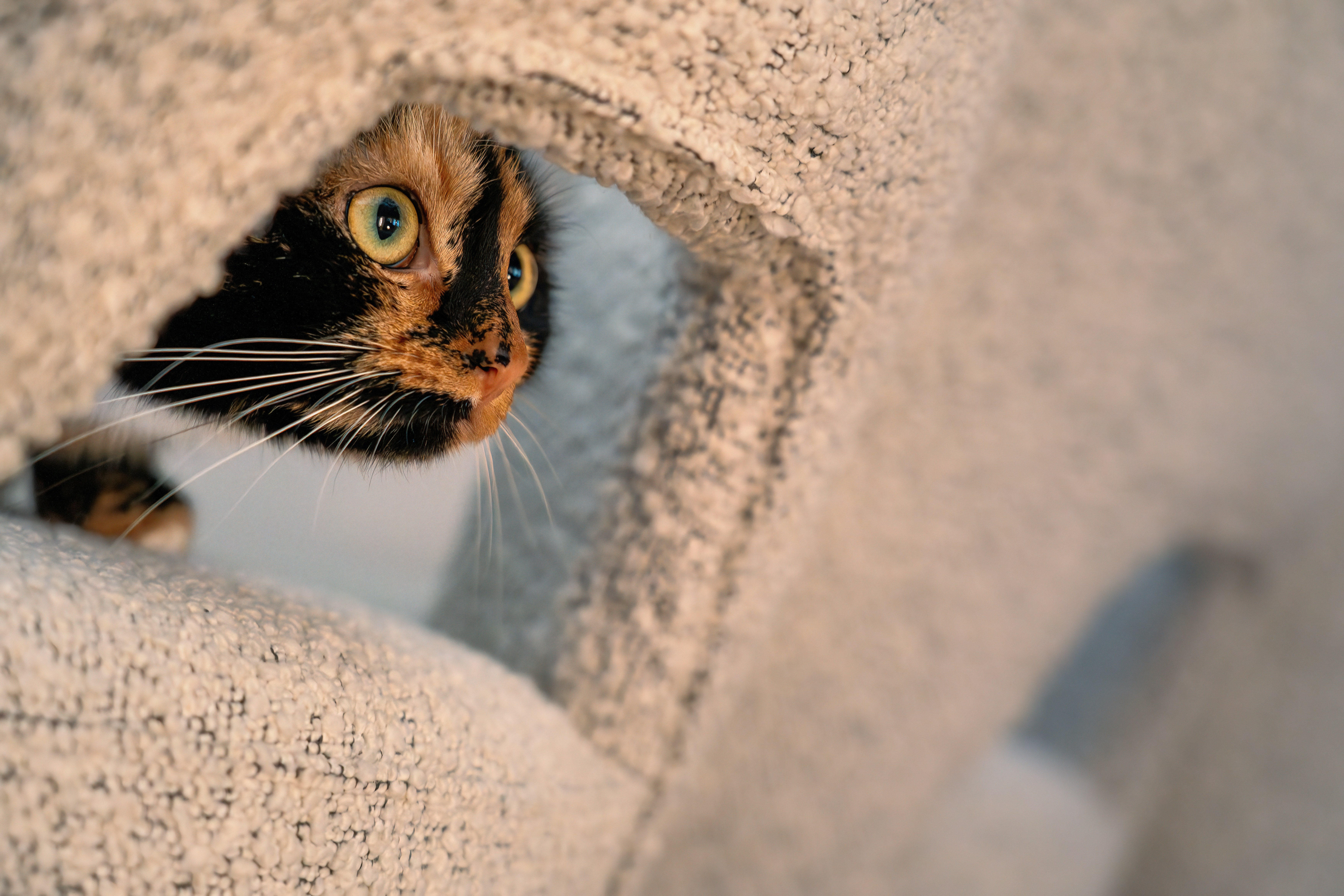 Photo by ilonaboomsma