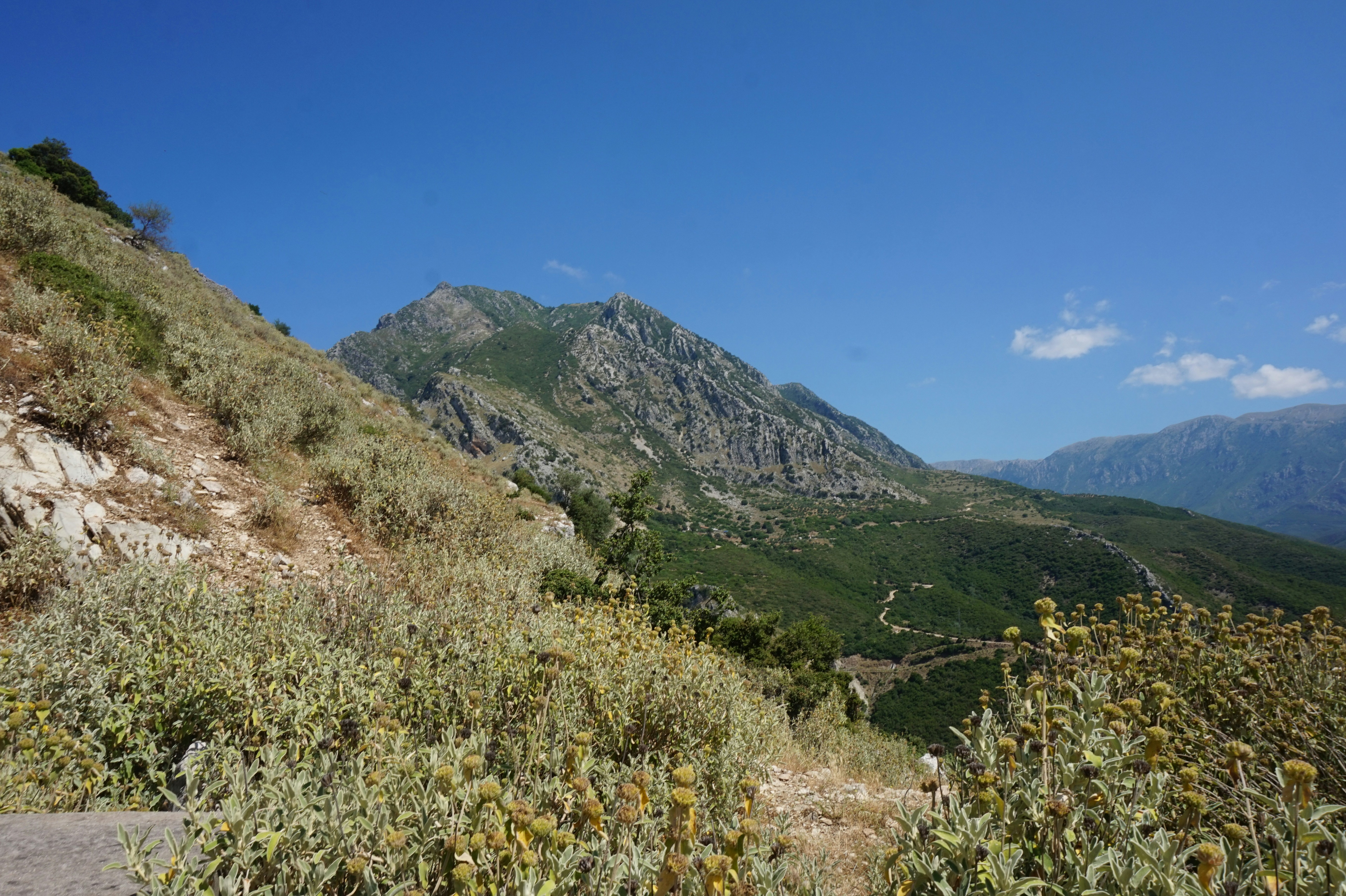 Photo by marie_worldonabudget