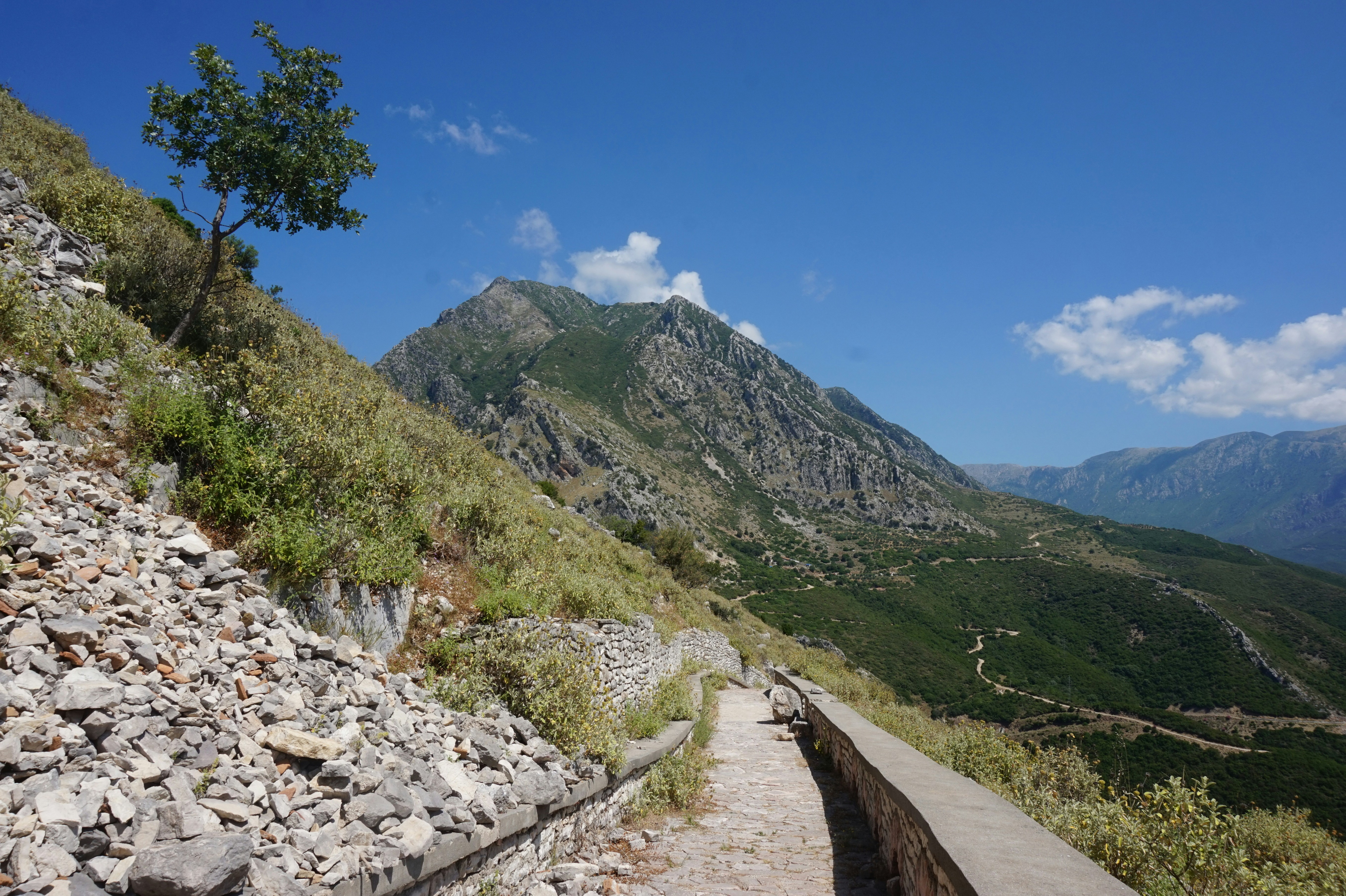 A view of the mountains from the top of a hill