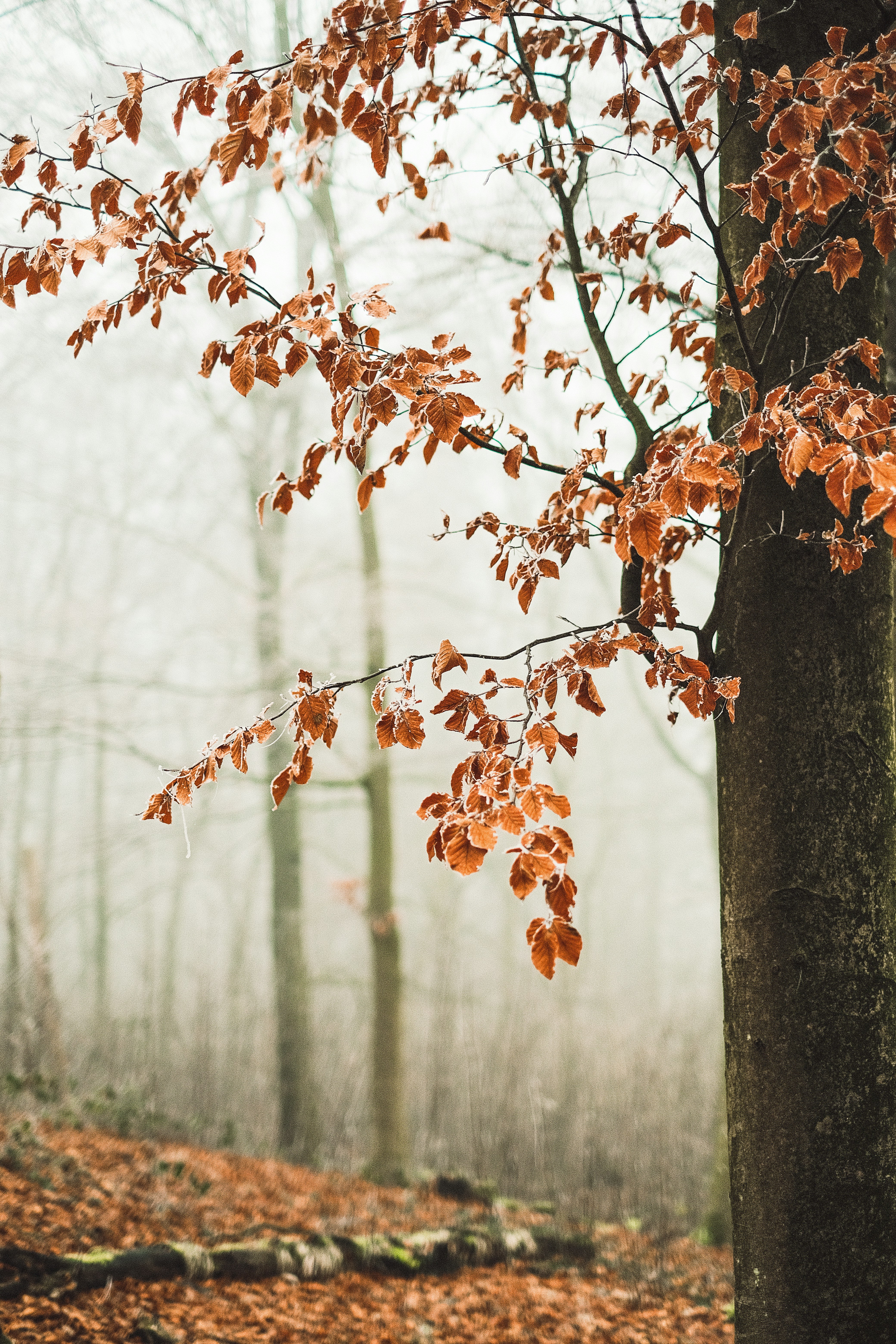 Photo by visualsbying