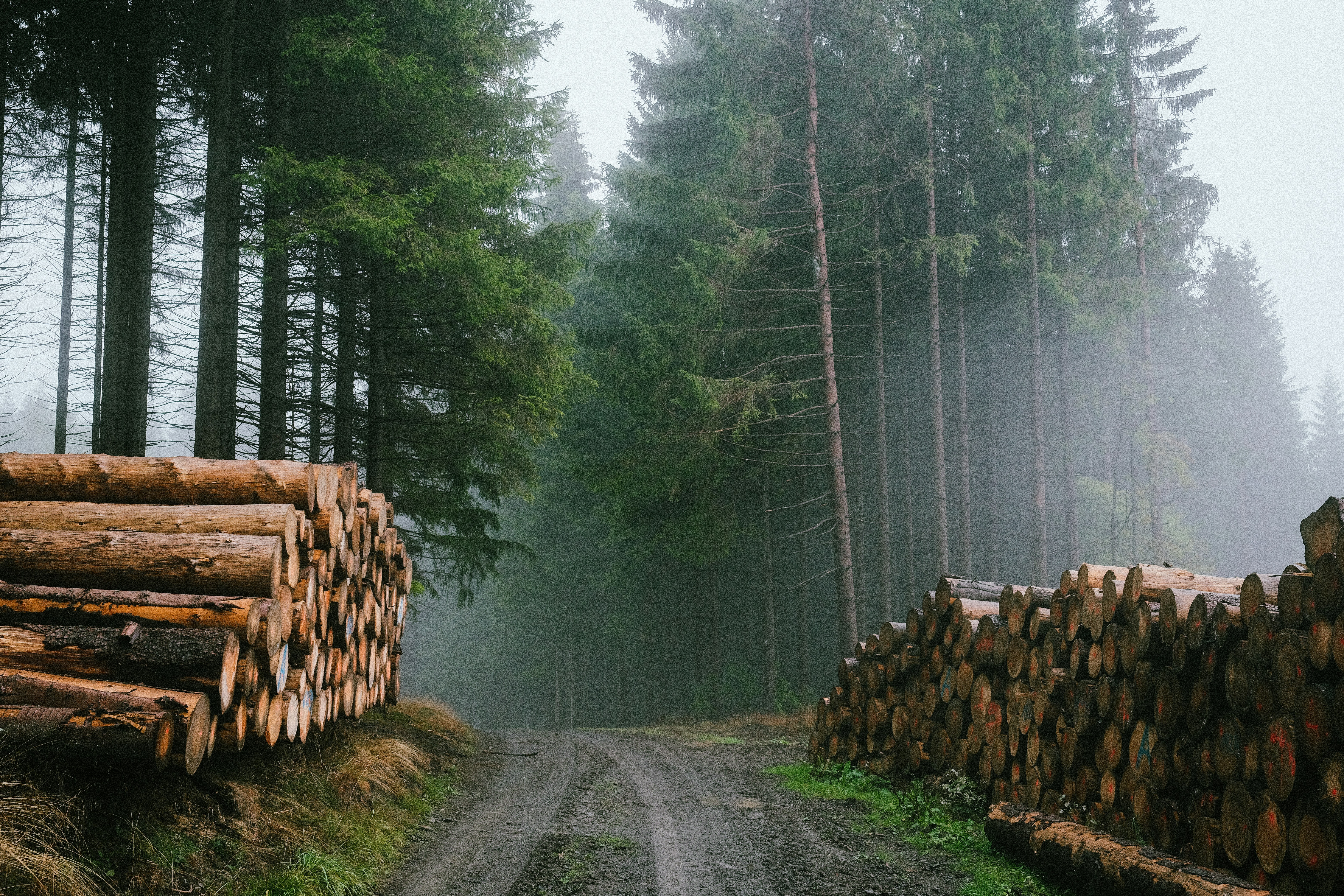 Photo by visualsbying