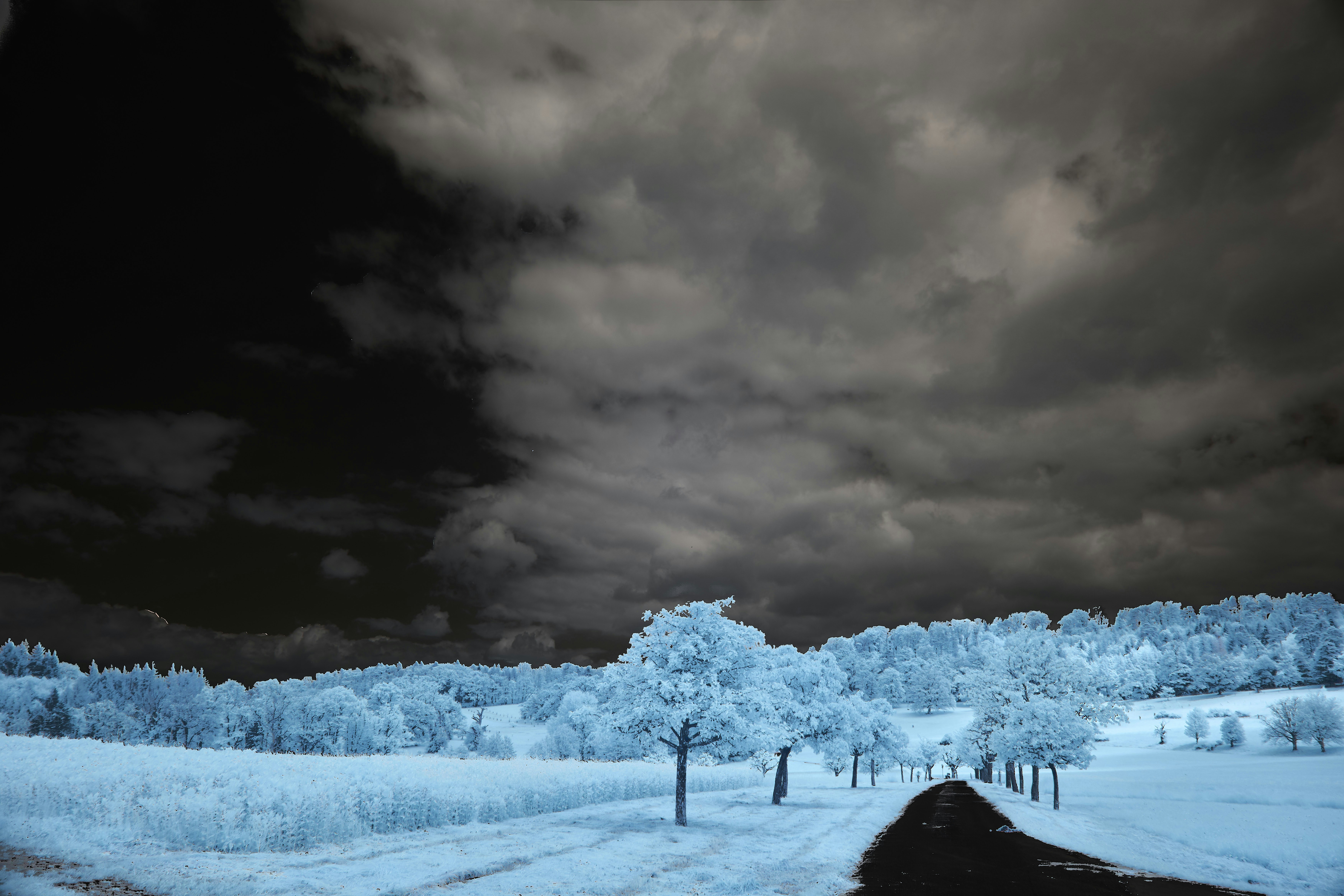 Photo by wolfgang_hasselmann