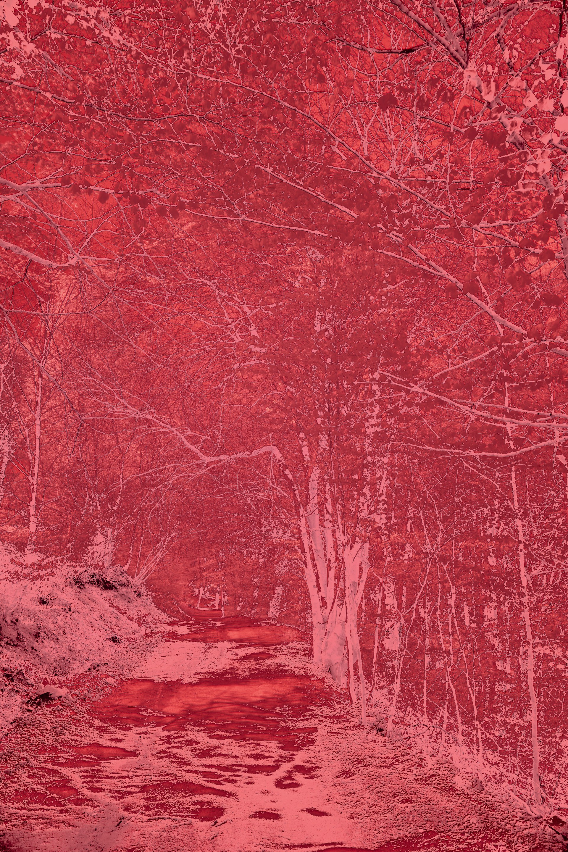 A red picture of a stream in the woods