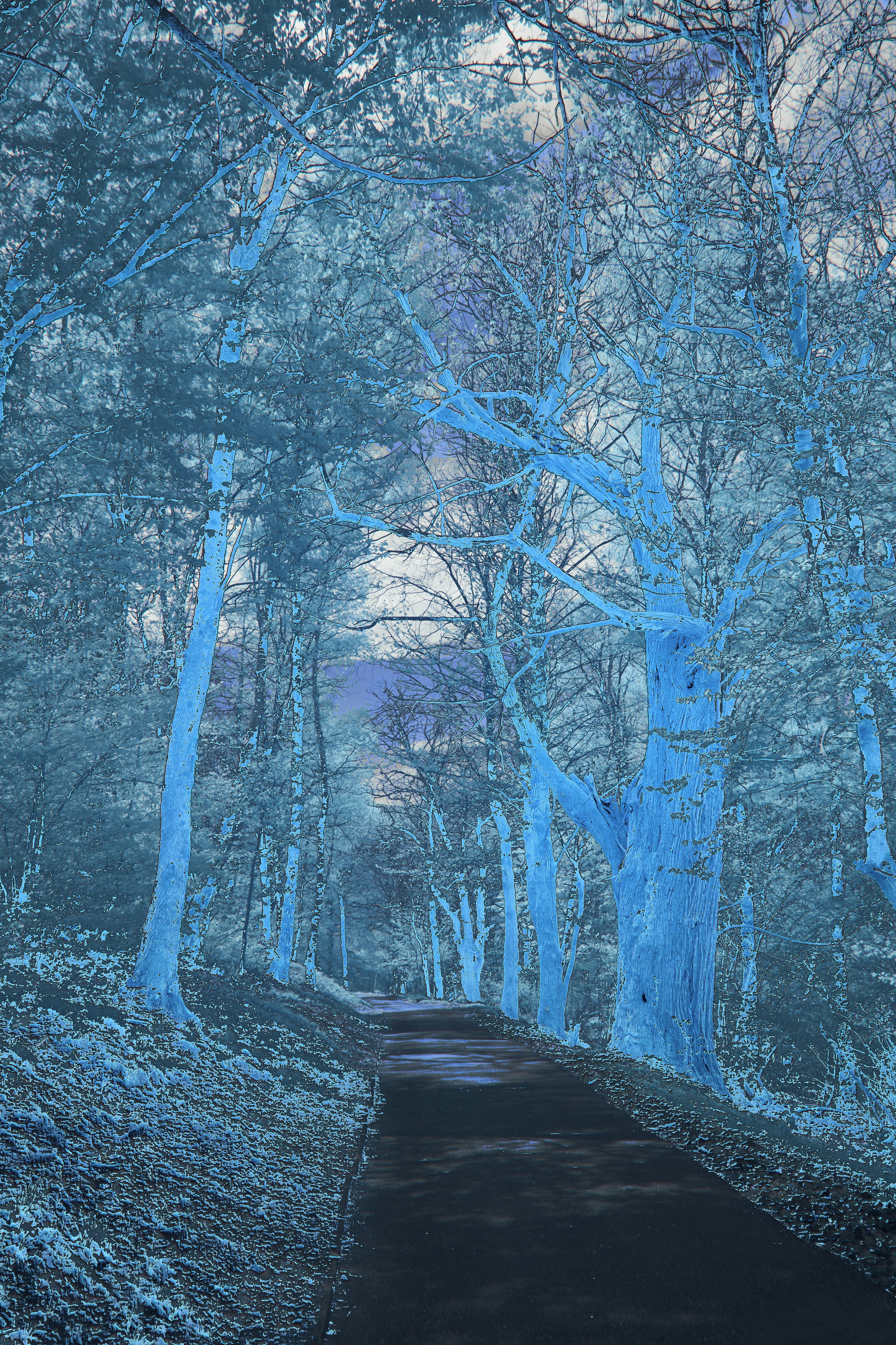 Photo by wolfgang_hasselmann