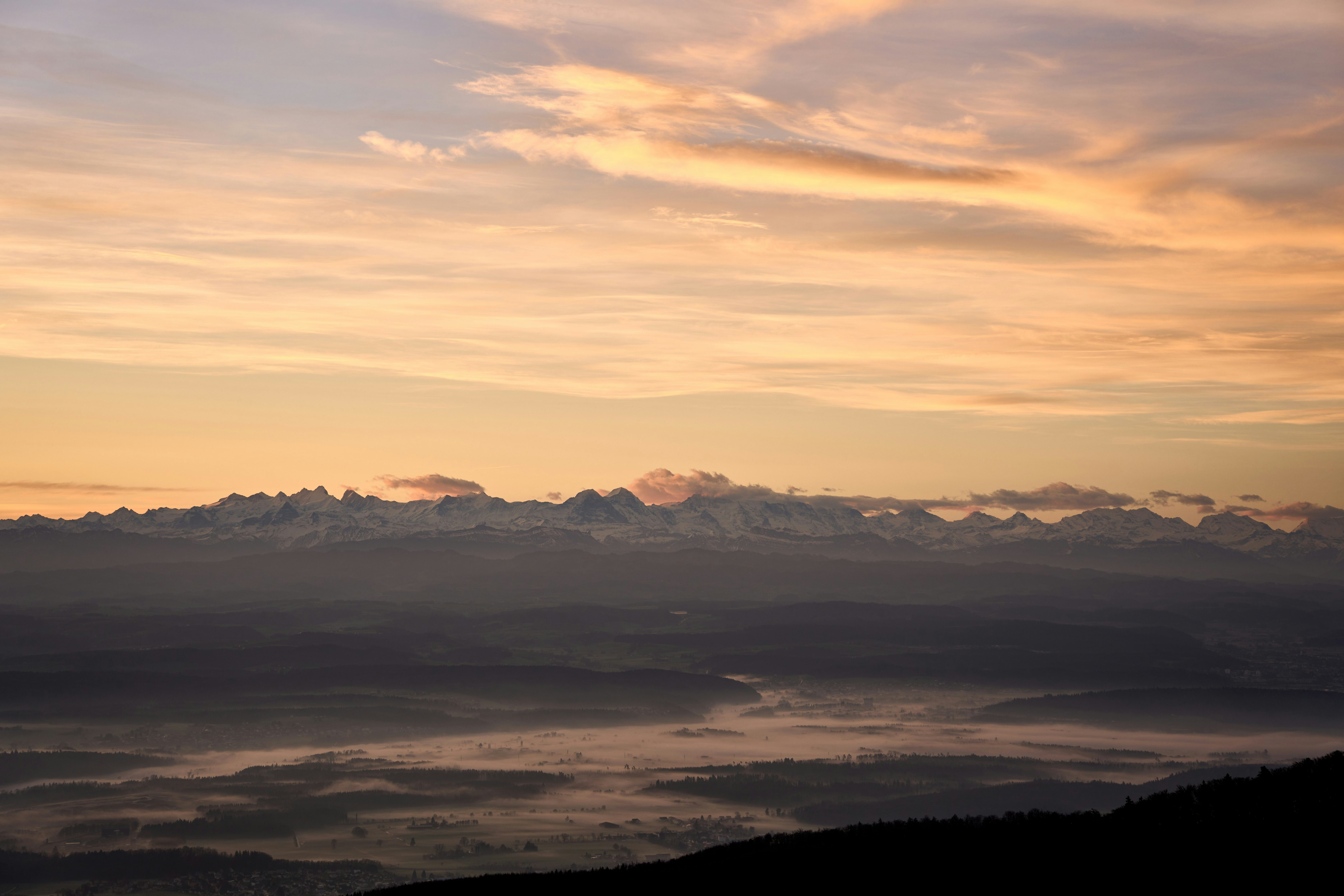 Photo by wolfgang_hasselmann