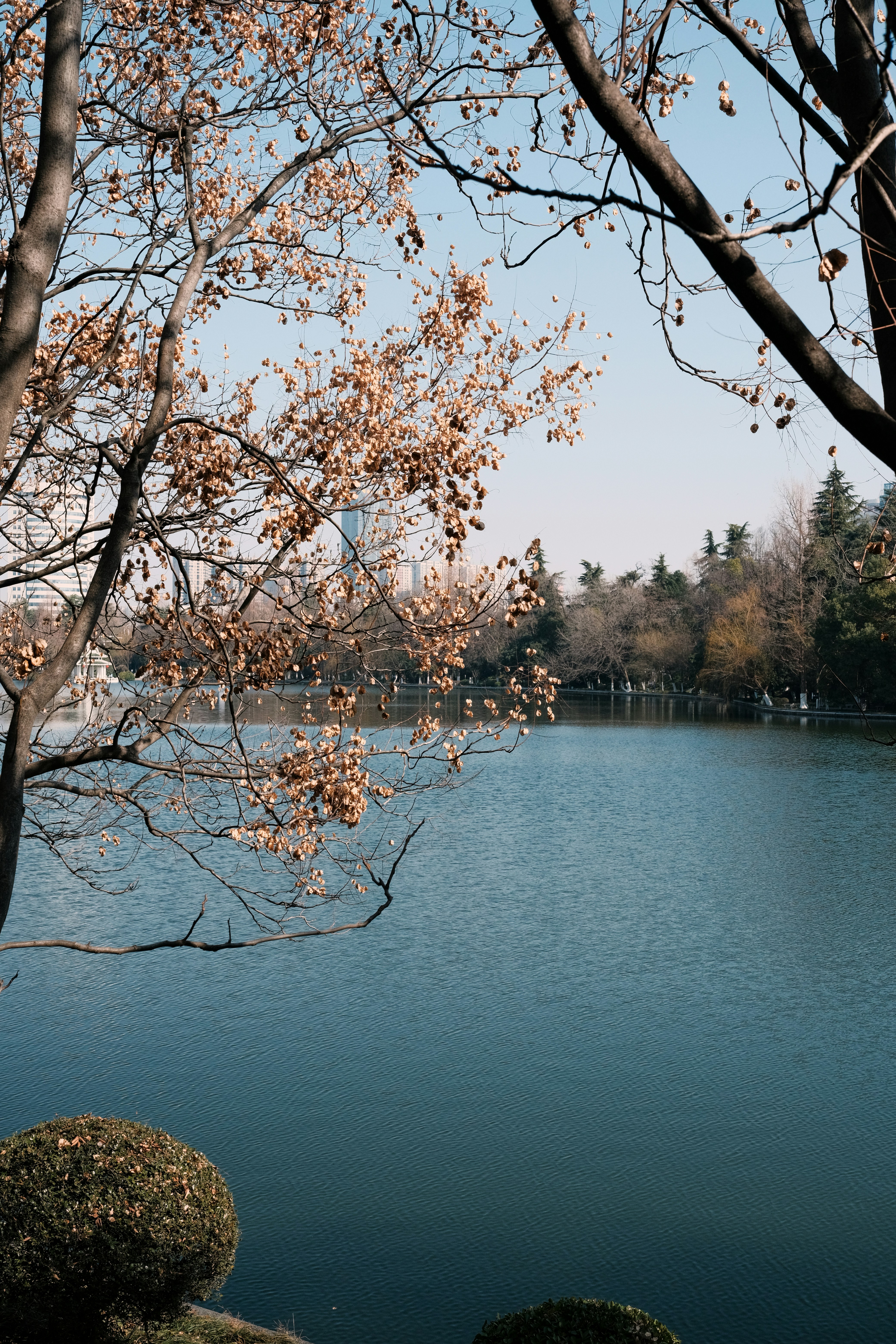 Photo by ben_huang