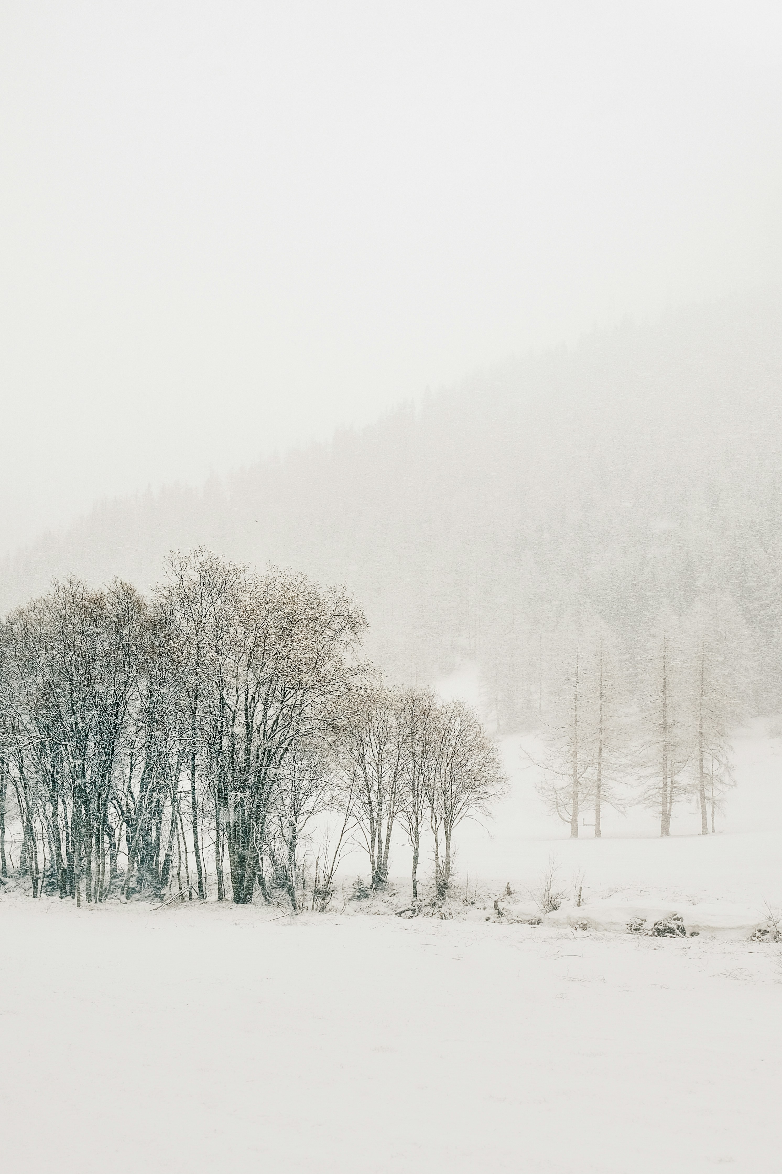 Daily Productive Sharing 1182 - Make Yourself Less Miserable