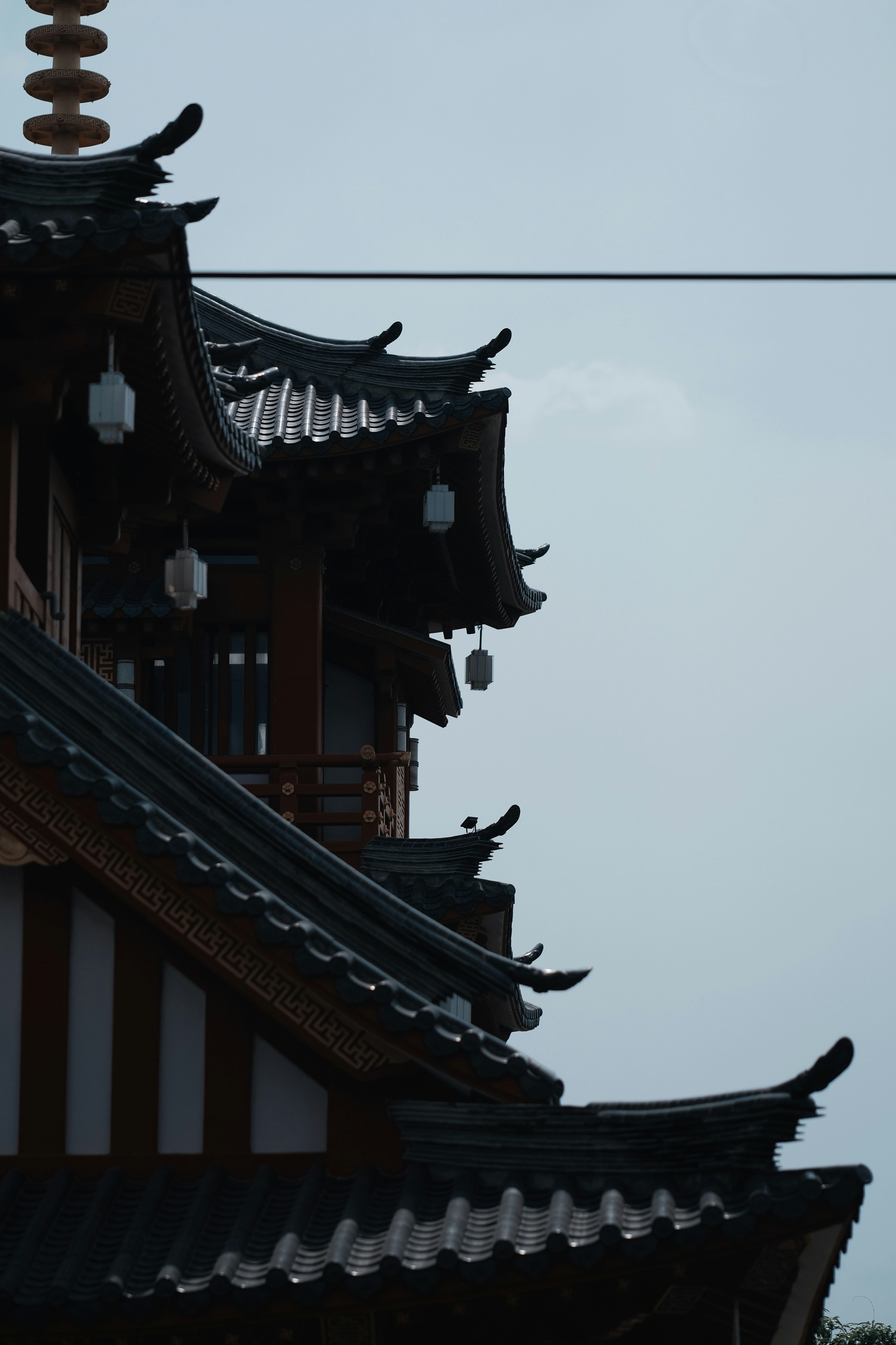 Photo by nguyentrungnguyen