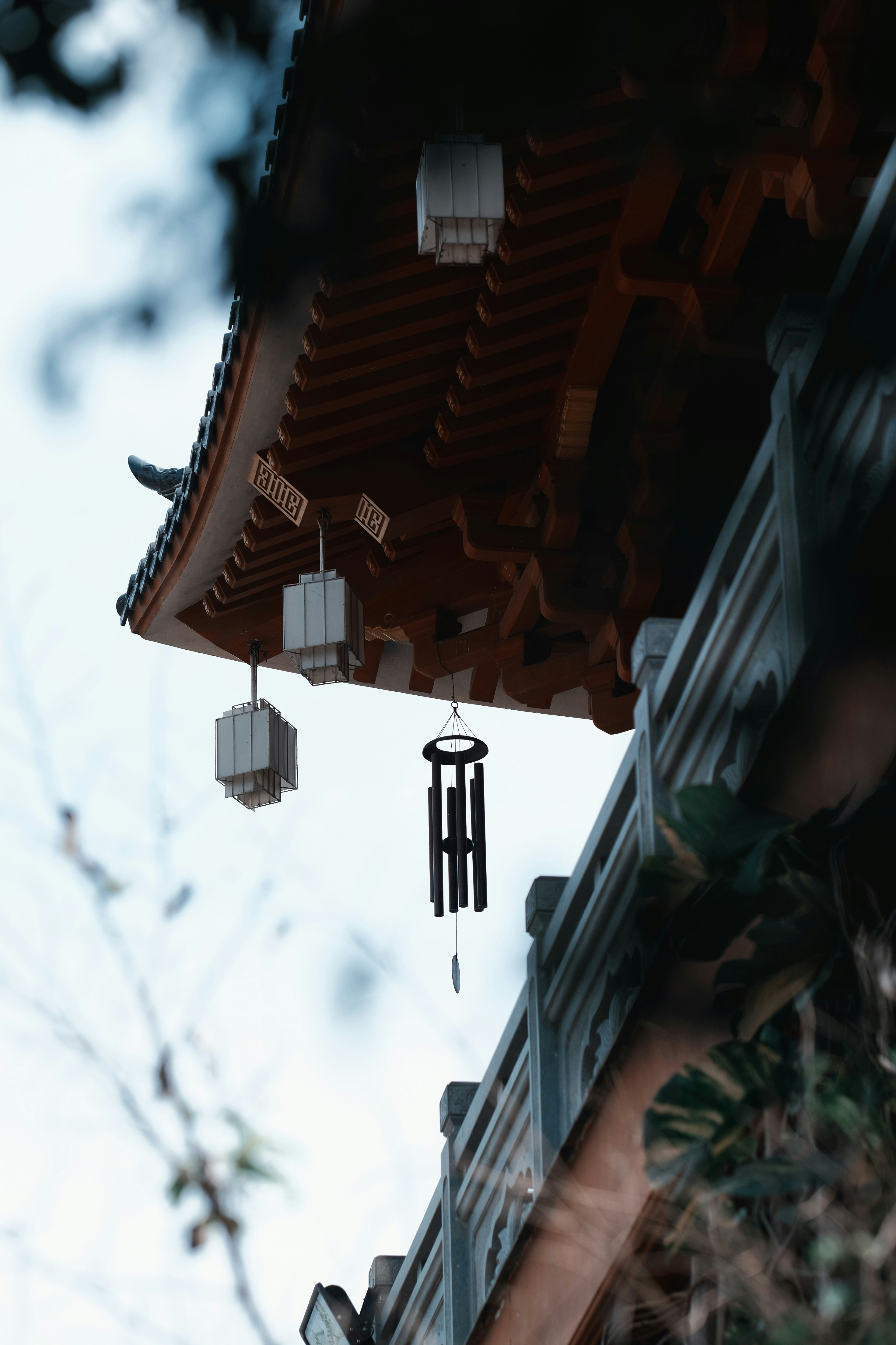 Photo by nguyentrungnguyen