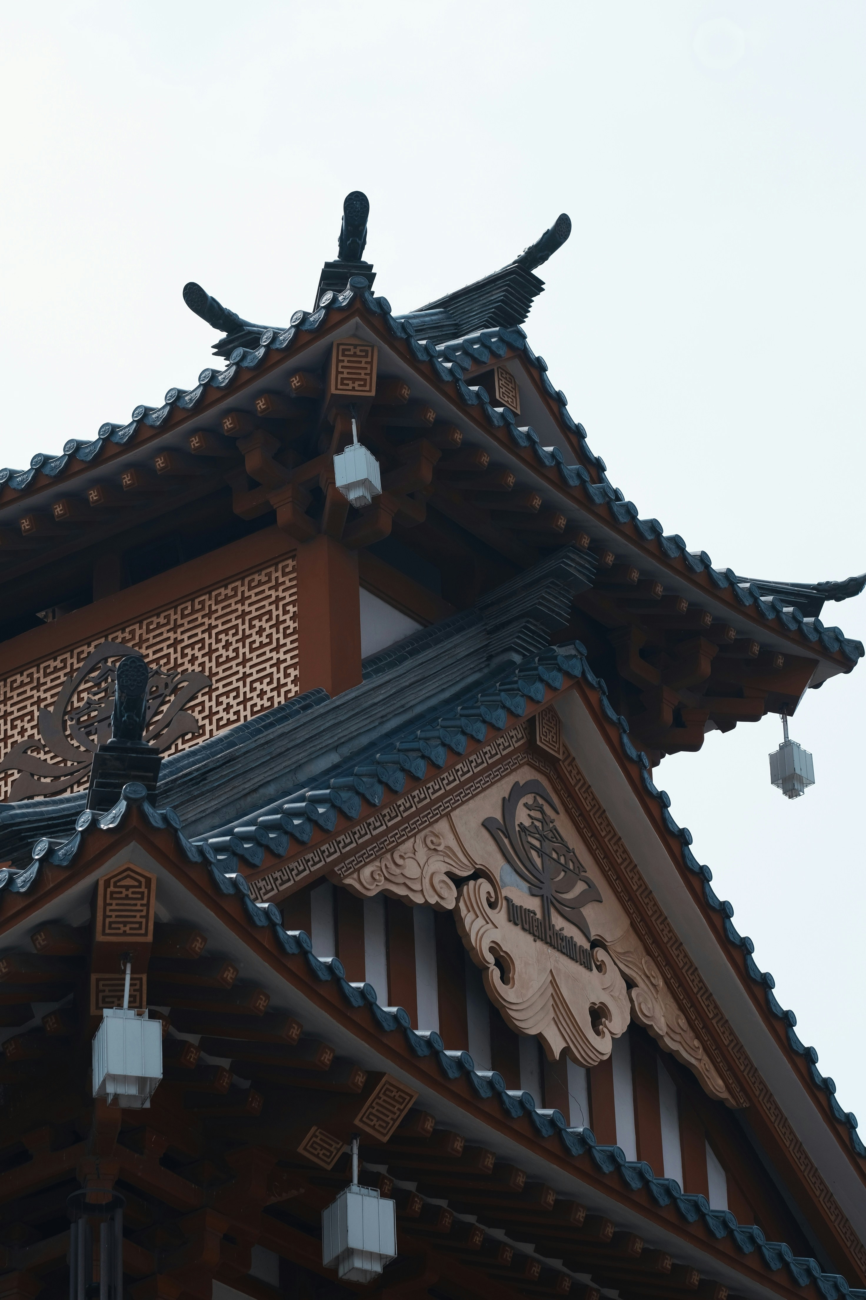 Photo by nguyentrungnguyen