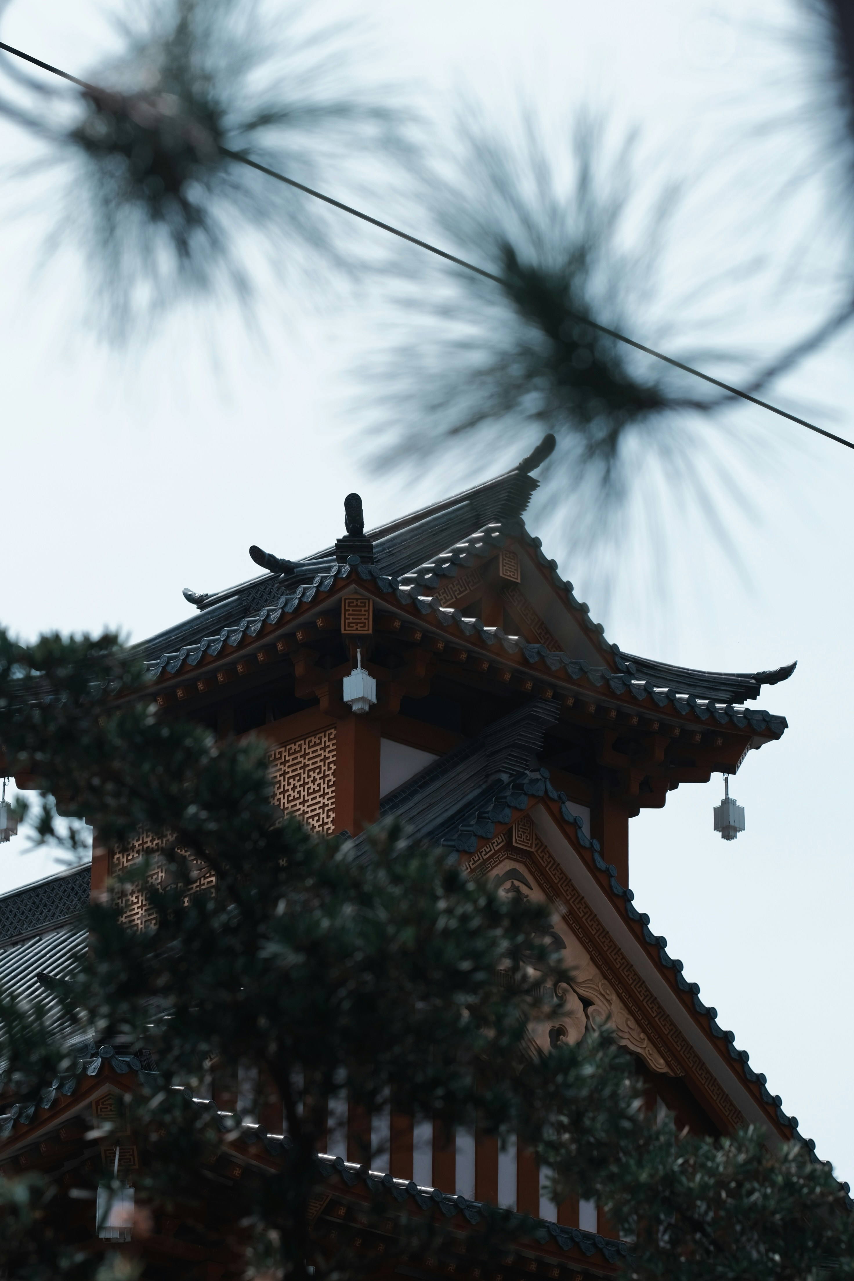 Photo by nguyentrungnguyen