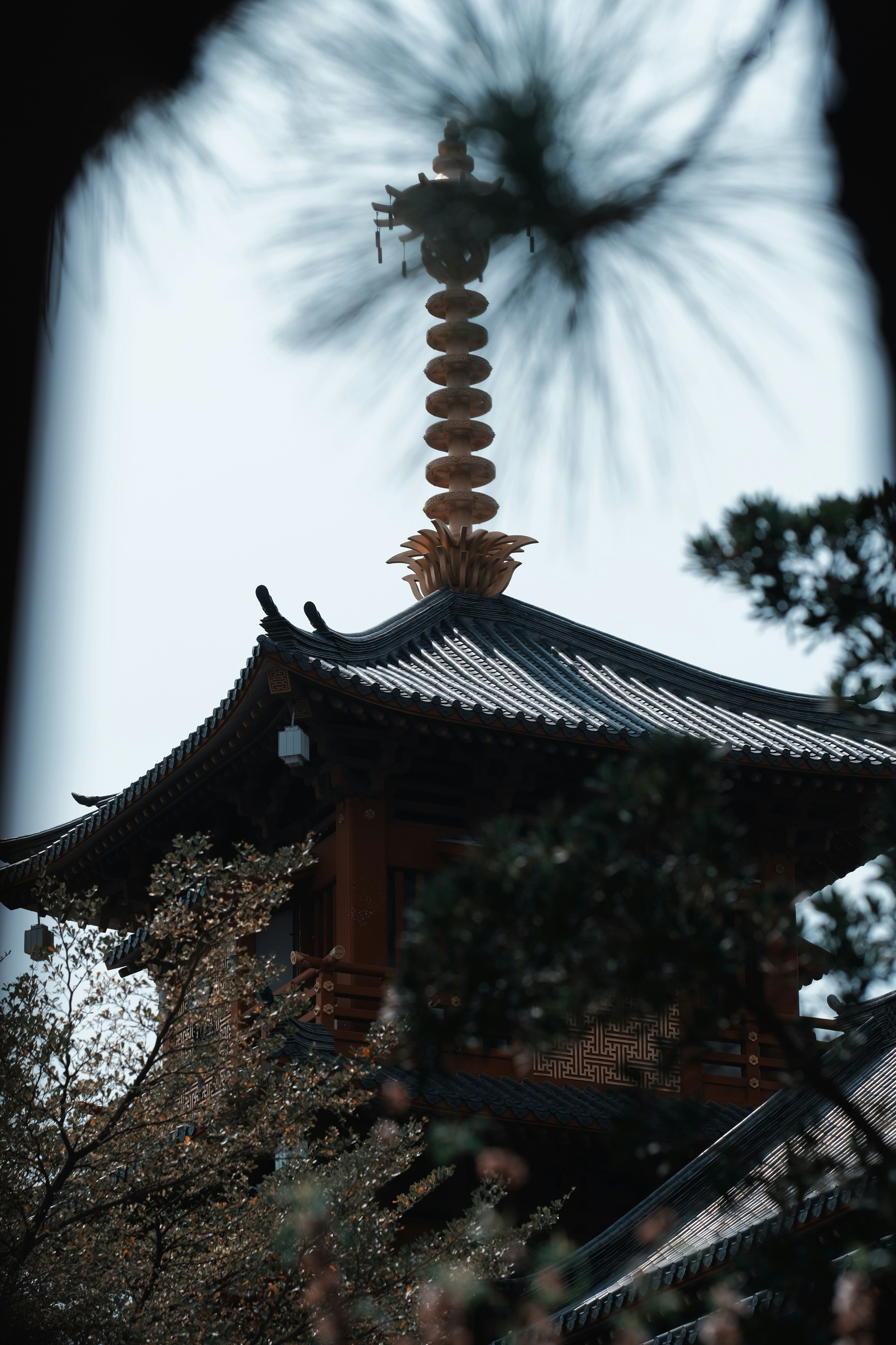 Photo by nguyentrungnguyen