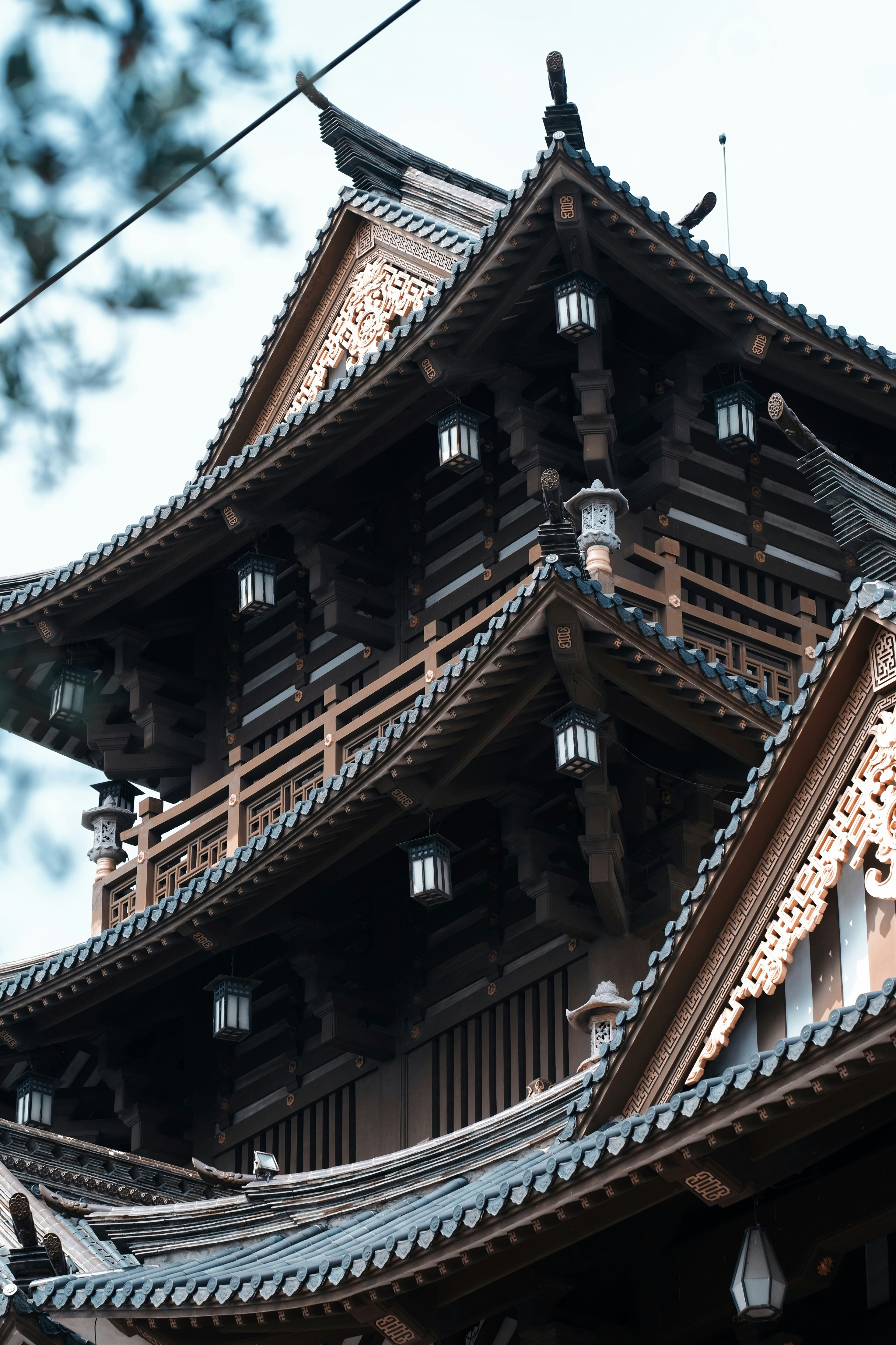 Photo by nguyentrungnguyen