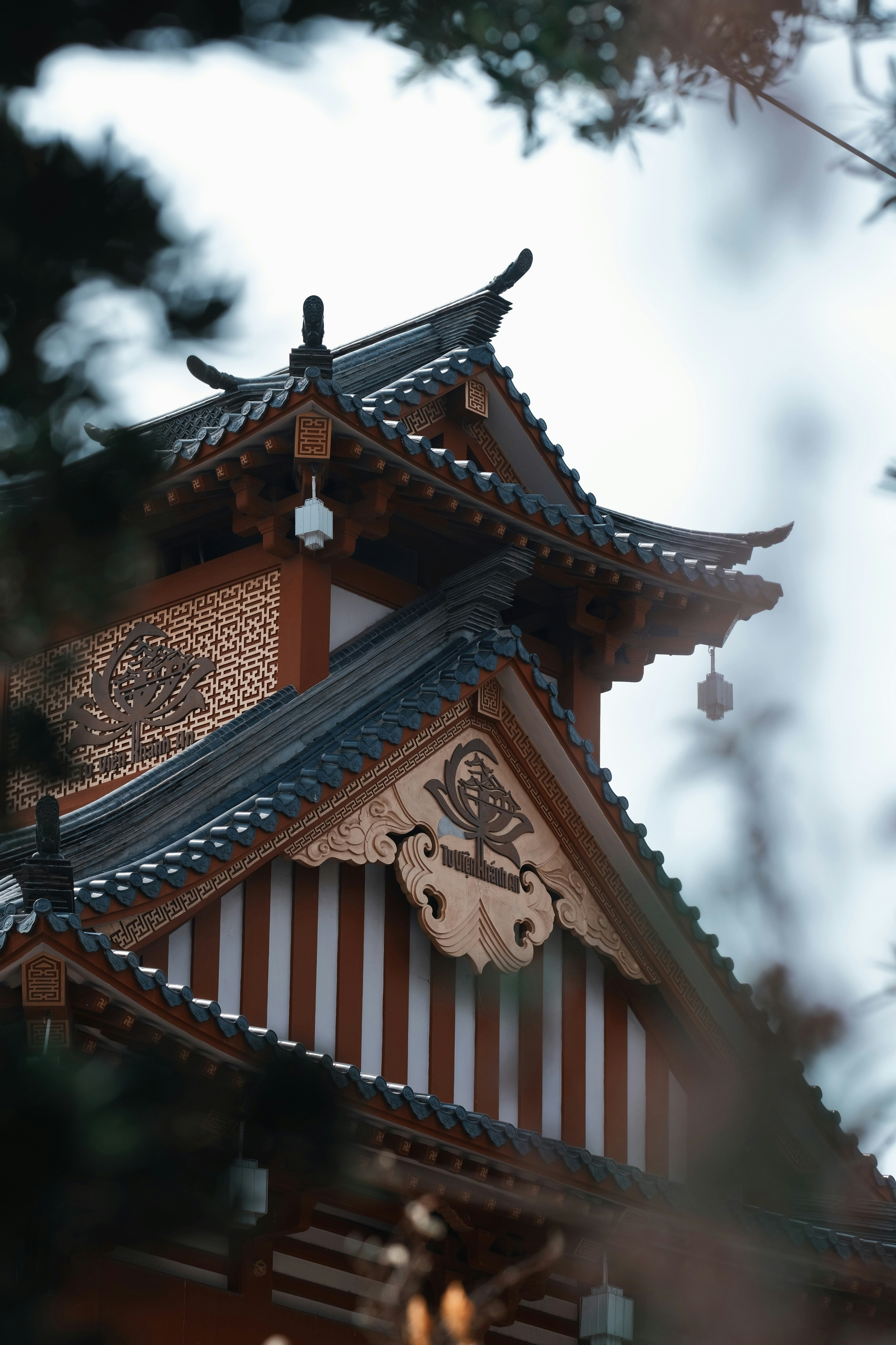 Photo by nguyentrungnguyen