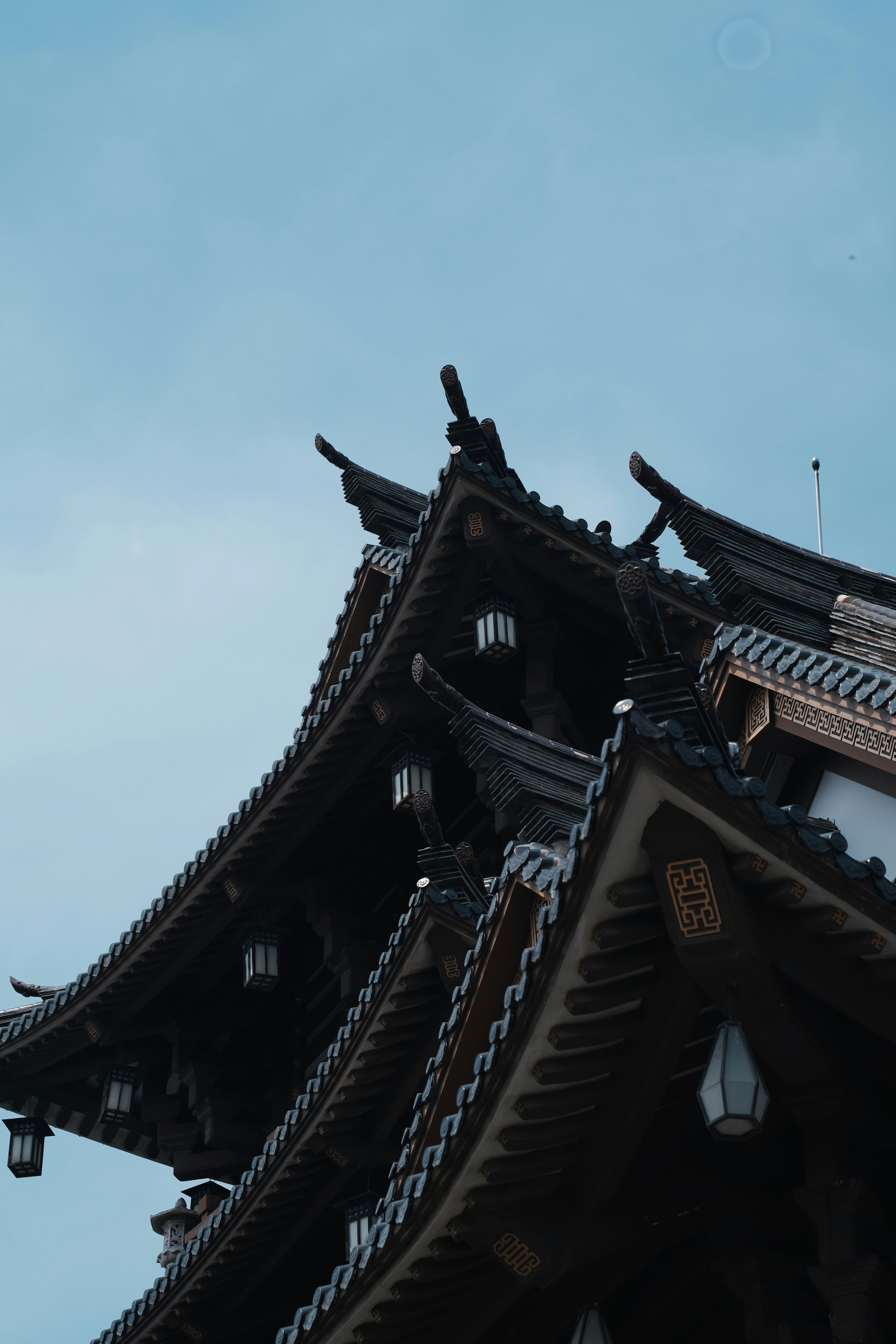 Photo by nguyentrungnguyen