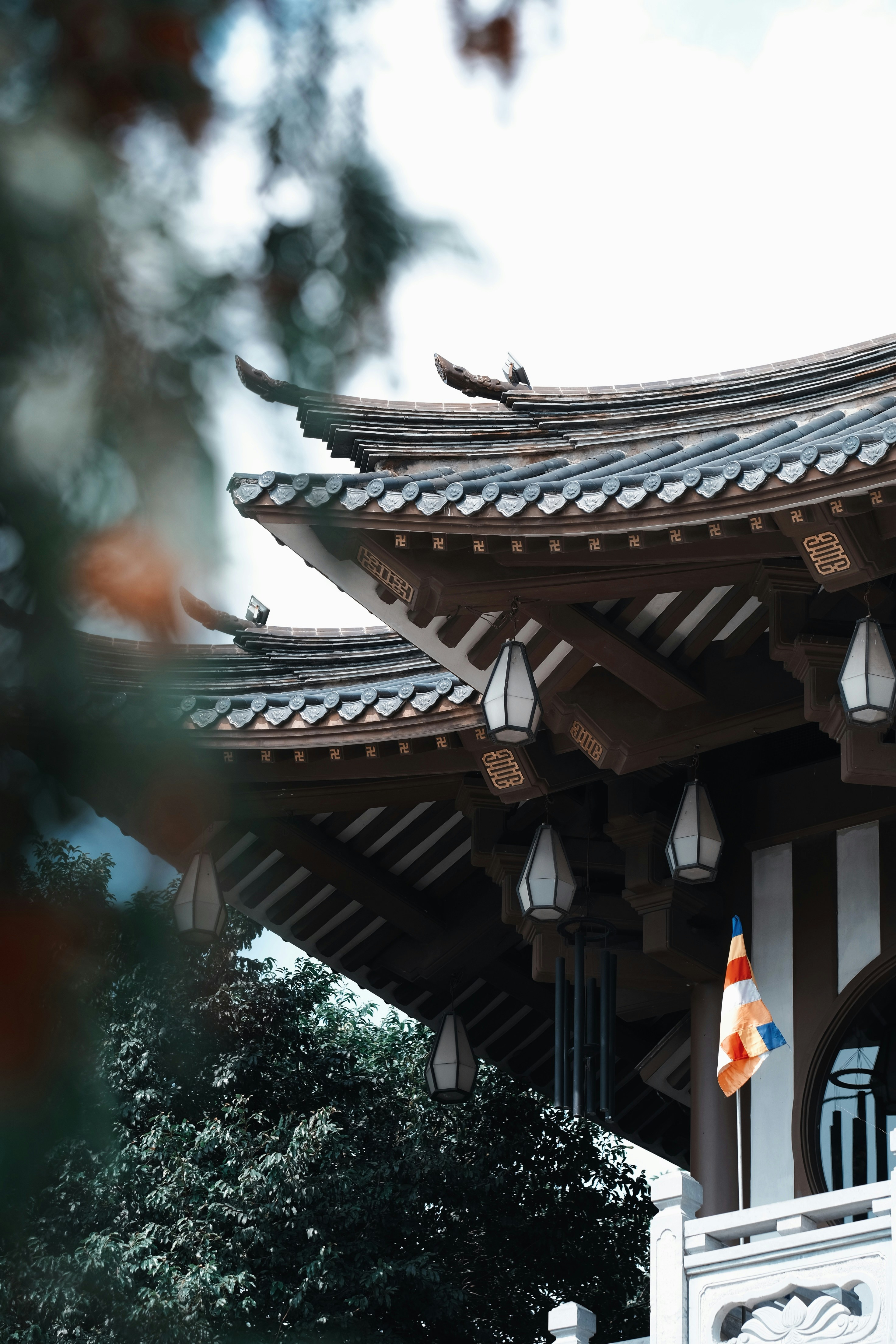 Photo by nguyentrungnguyen