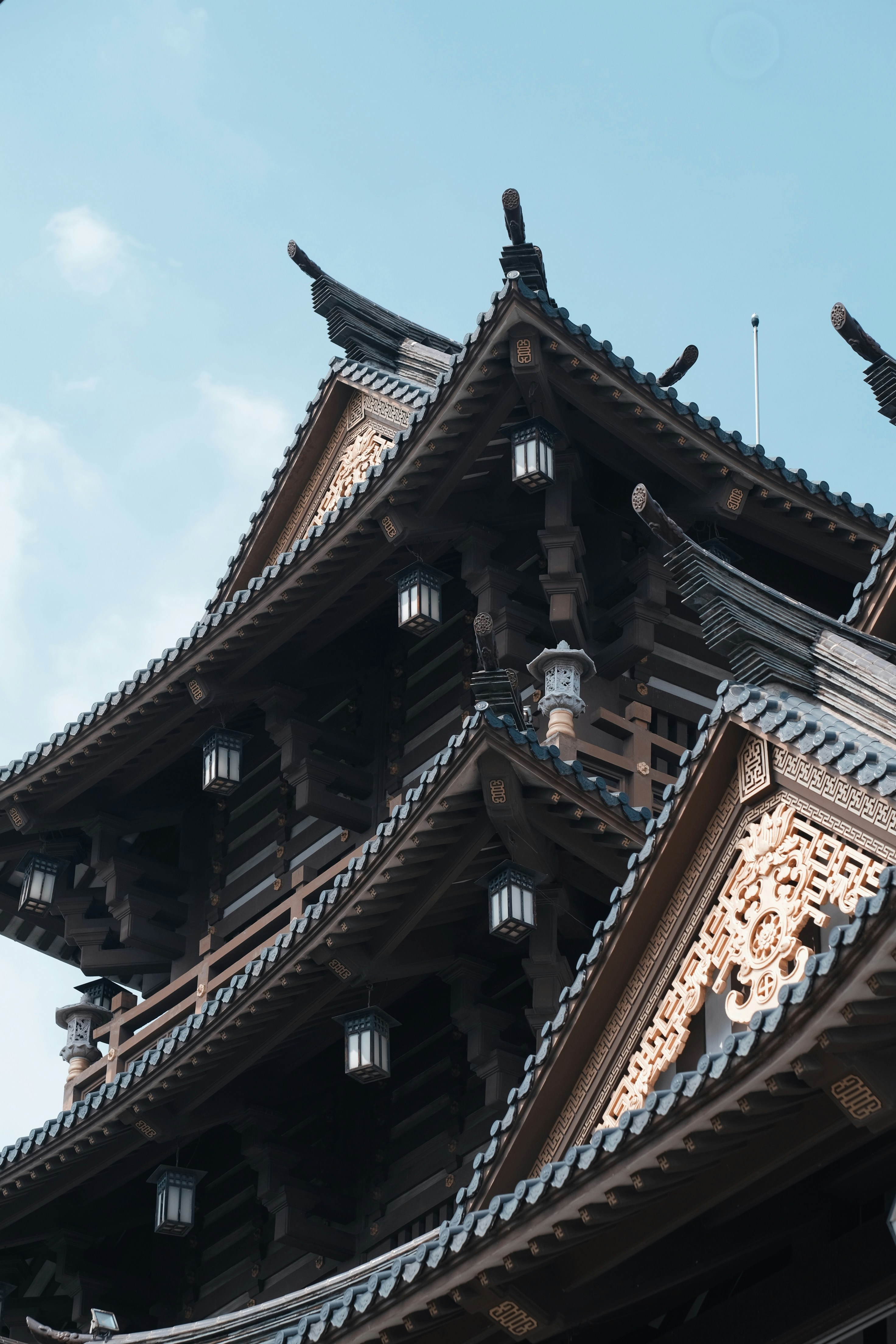 Photo by nguyentrungnguyen