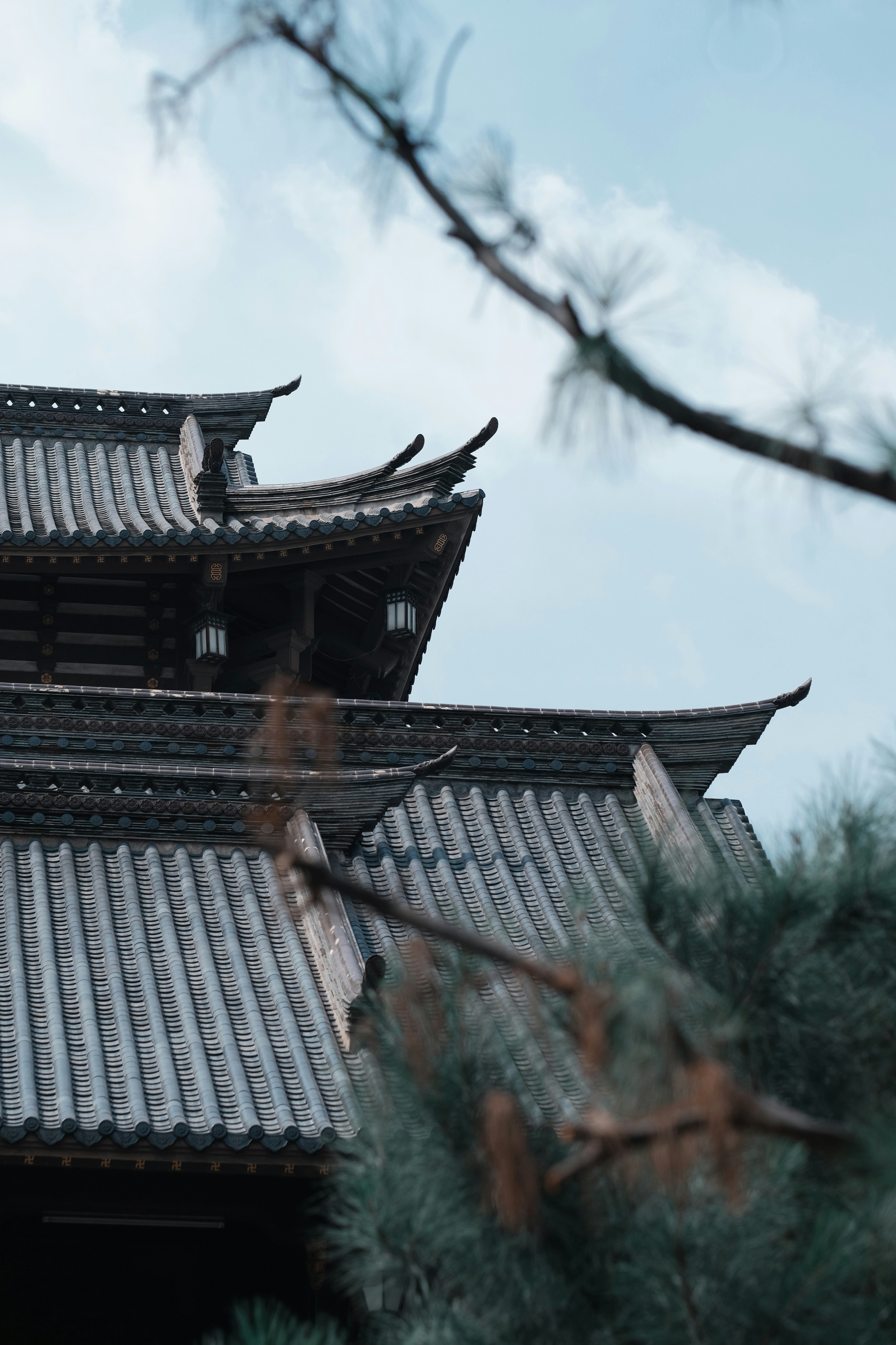 Photo by nguyentrungnguyen